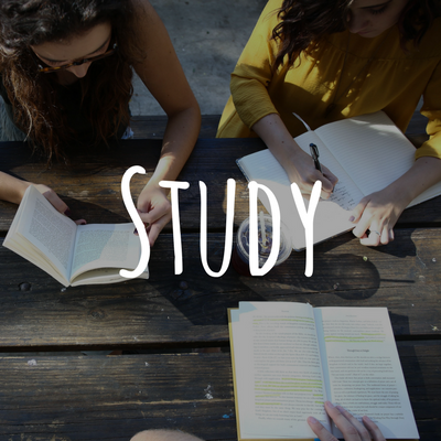 Study