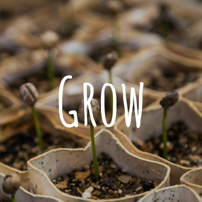 Grow
