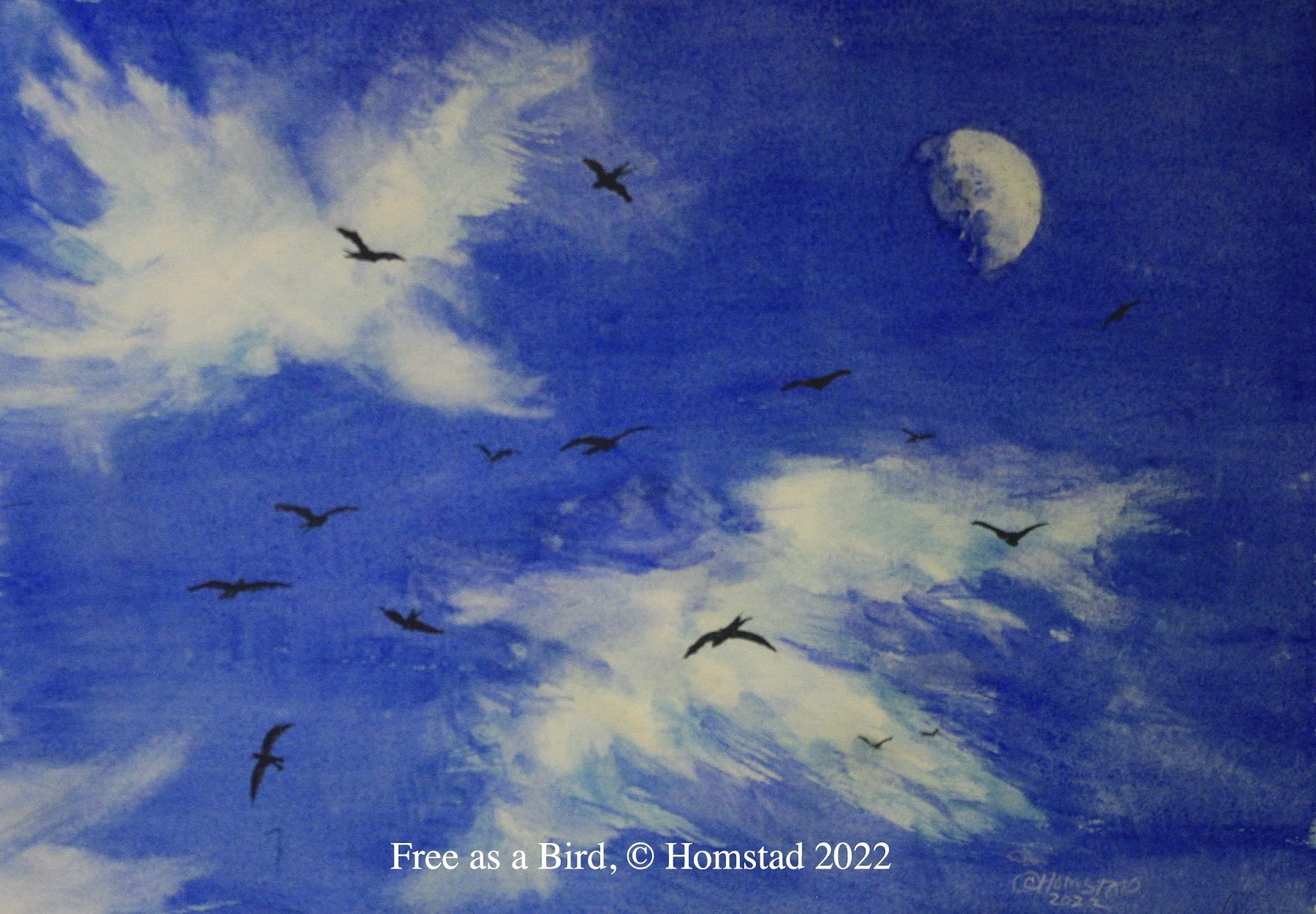 Free as a Bird wc.jpg