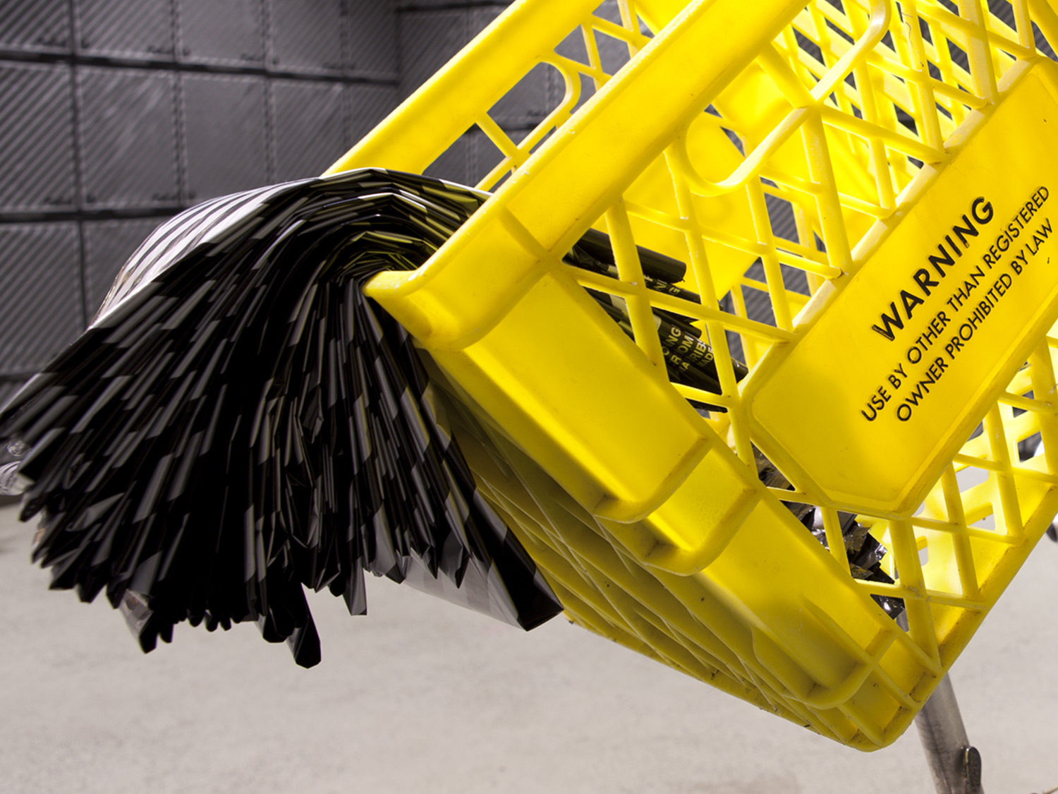  Installation detail, Dairy Basket, Lagmitz plastic shopping bag, Bicycle&nbsp; 