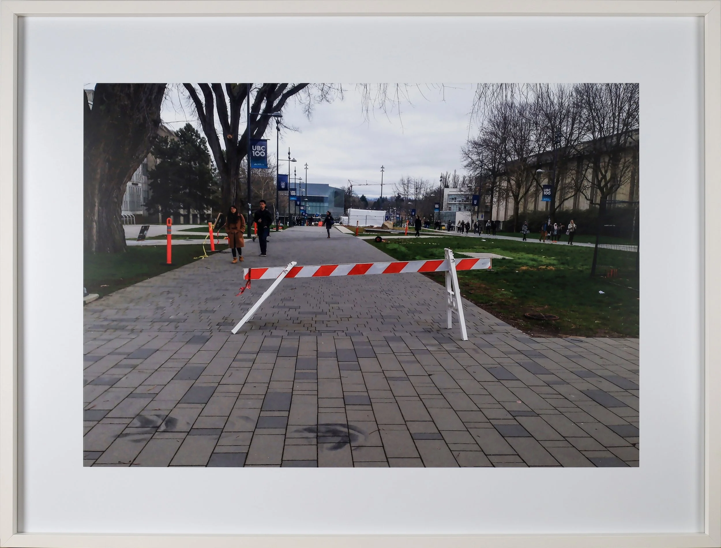 Ali Ahadi, Working Title, Photography, Barricade, Dog