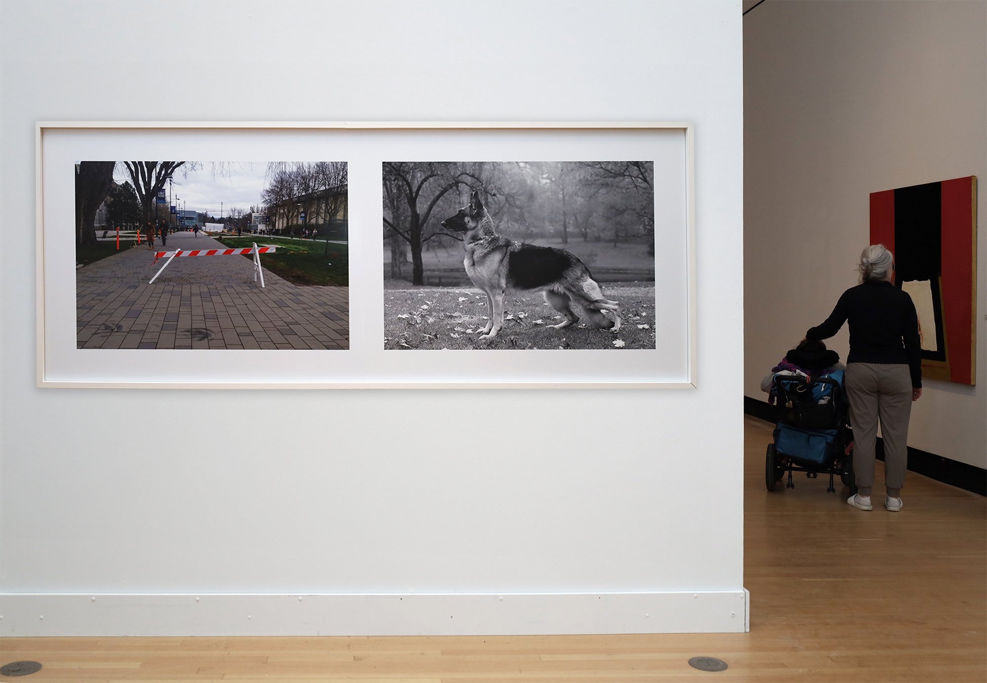 Ali Ahadi, Working Title, Photography, Barricade, Dog