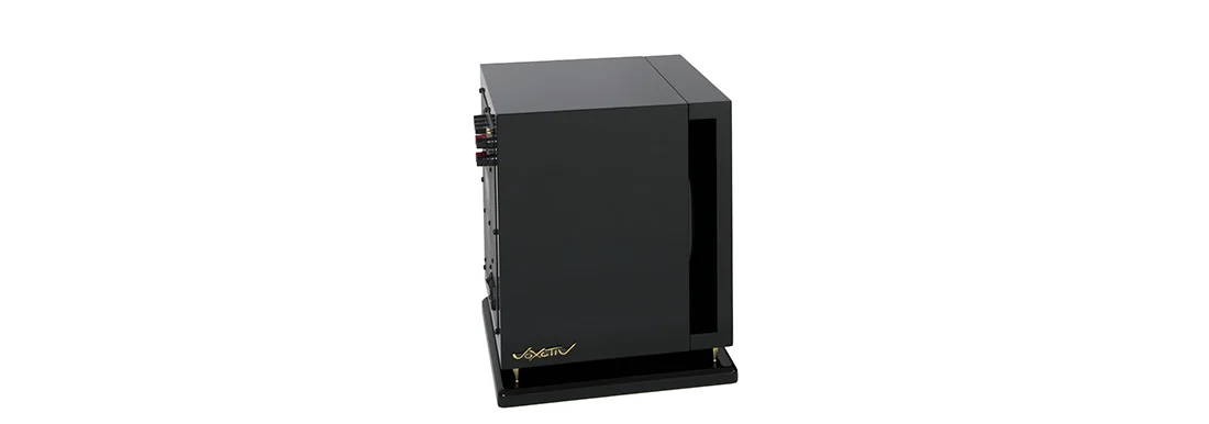 Voxativ Z-Bass2