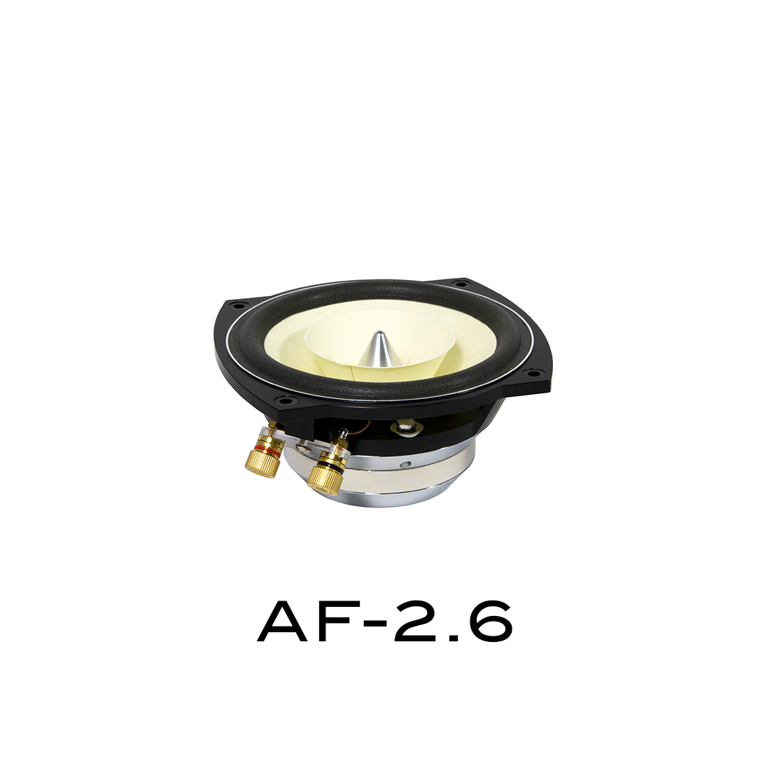 AF-2.6 (Kopie)
