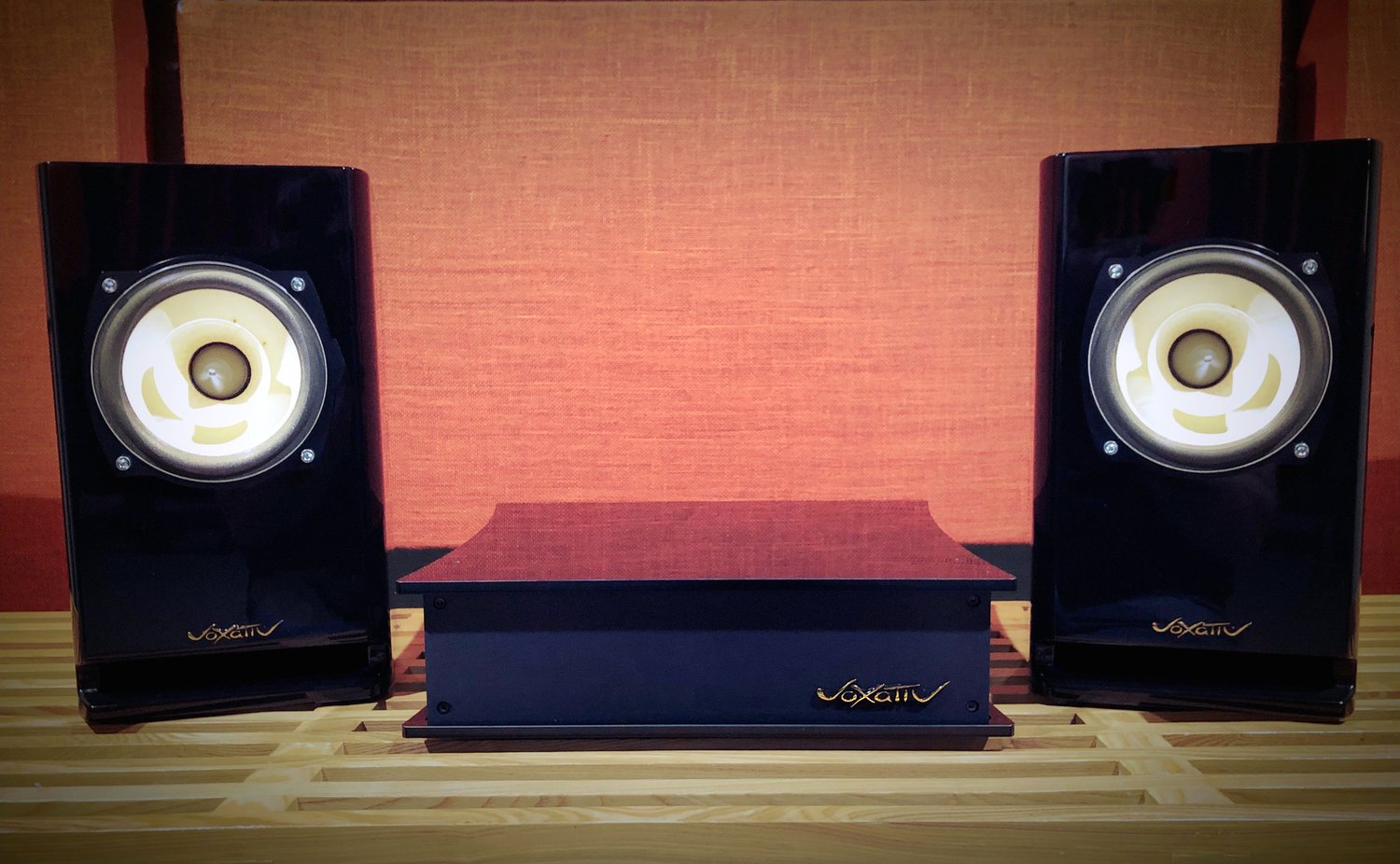 Voxativ Hagen II system