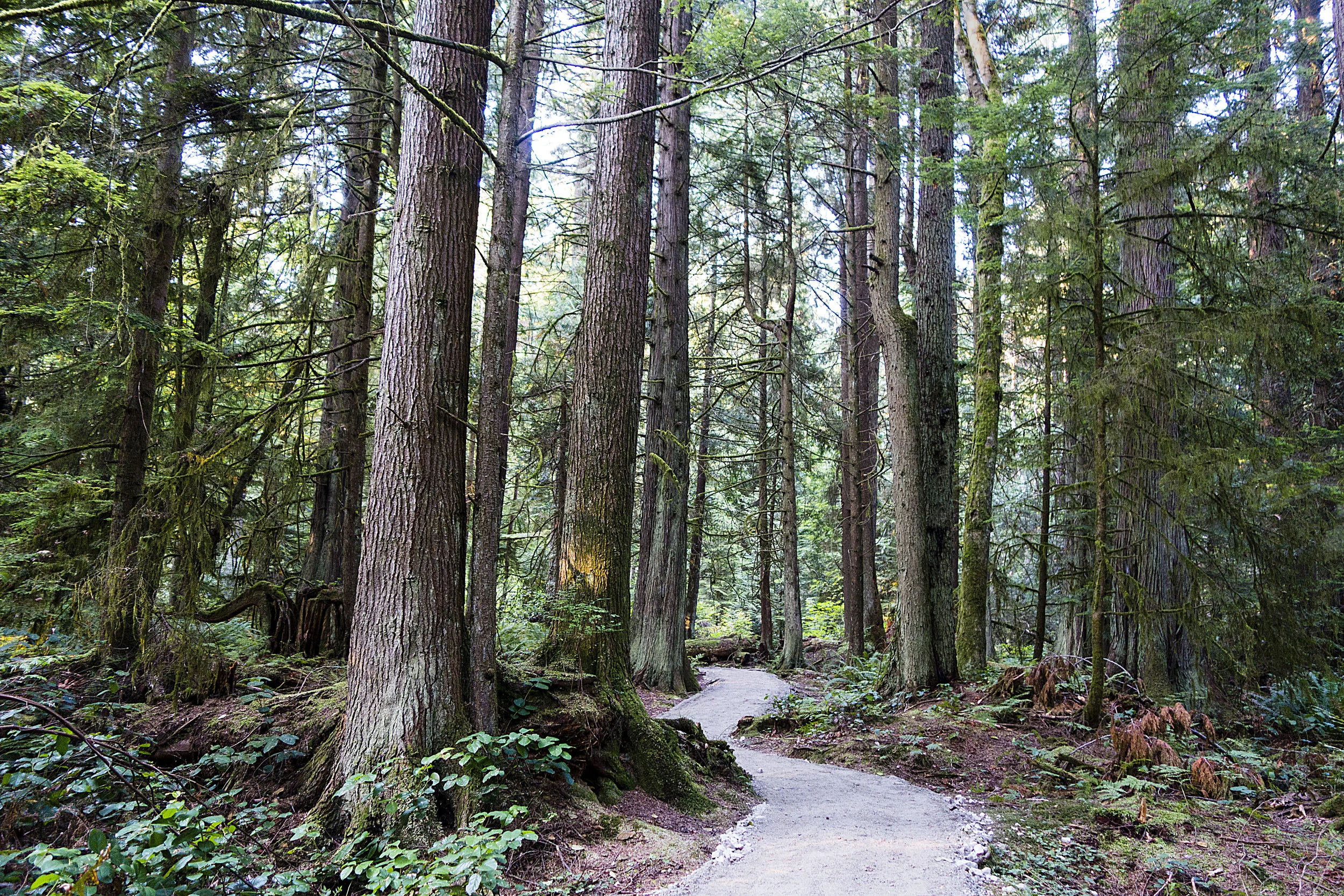 Vancouver-photoshop-_19.JPG