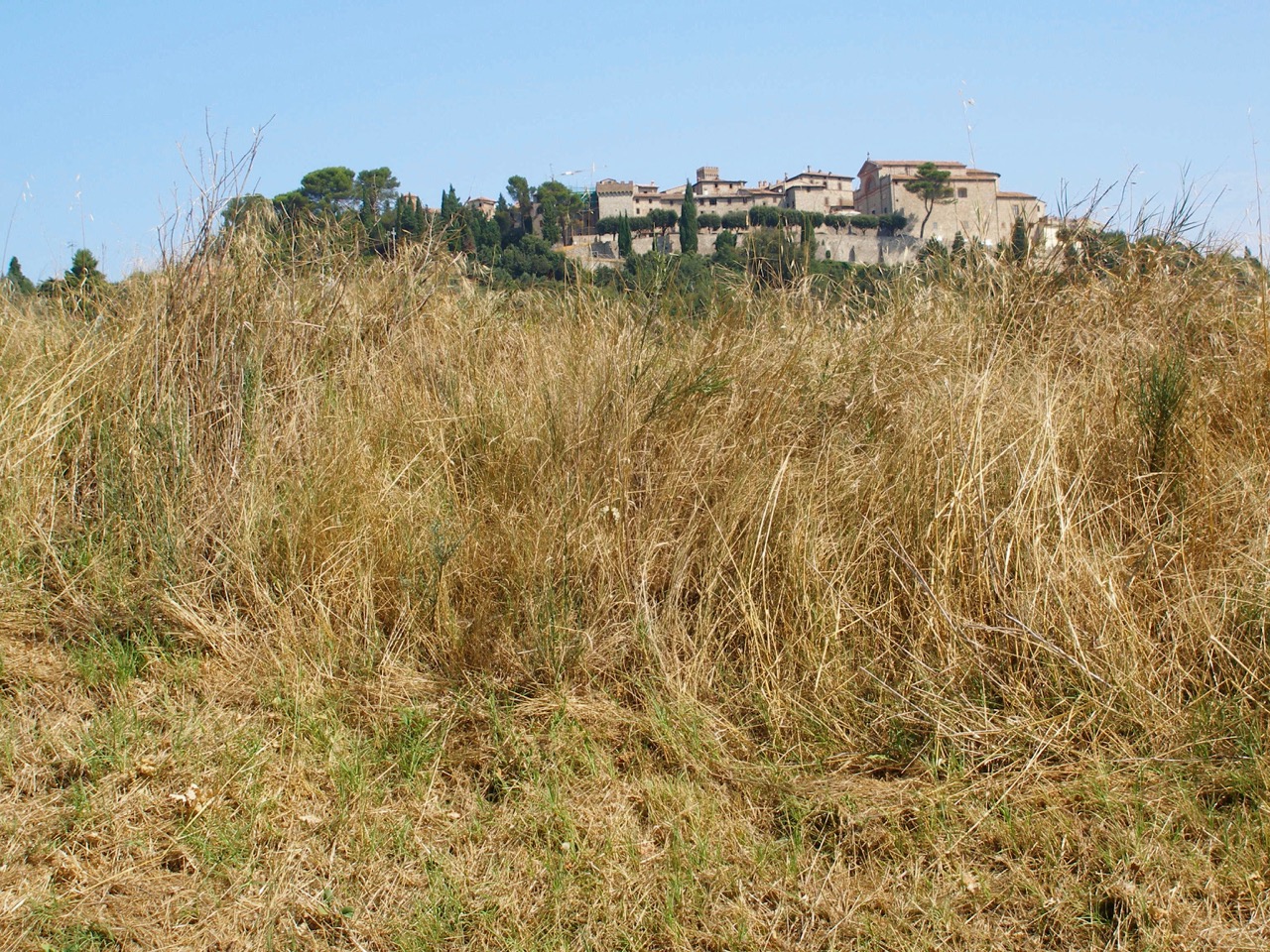 Montecastello di Vibio..jpg