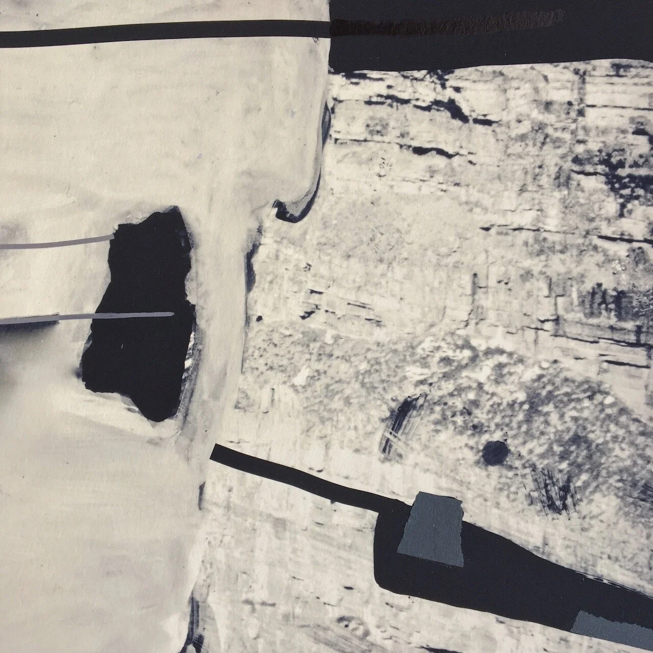 Silver VIII_Falaise24x16_Detail1B (vendu).jpeg