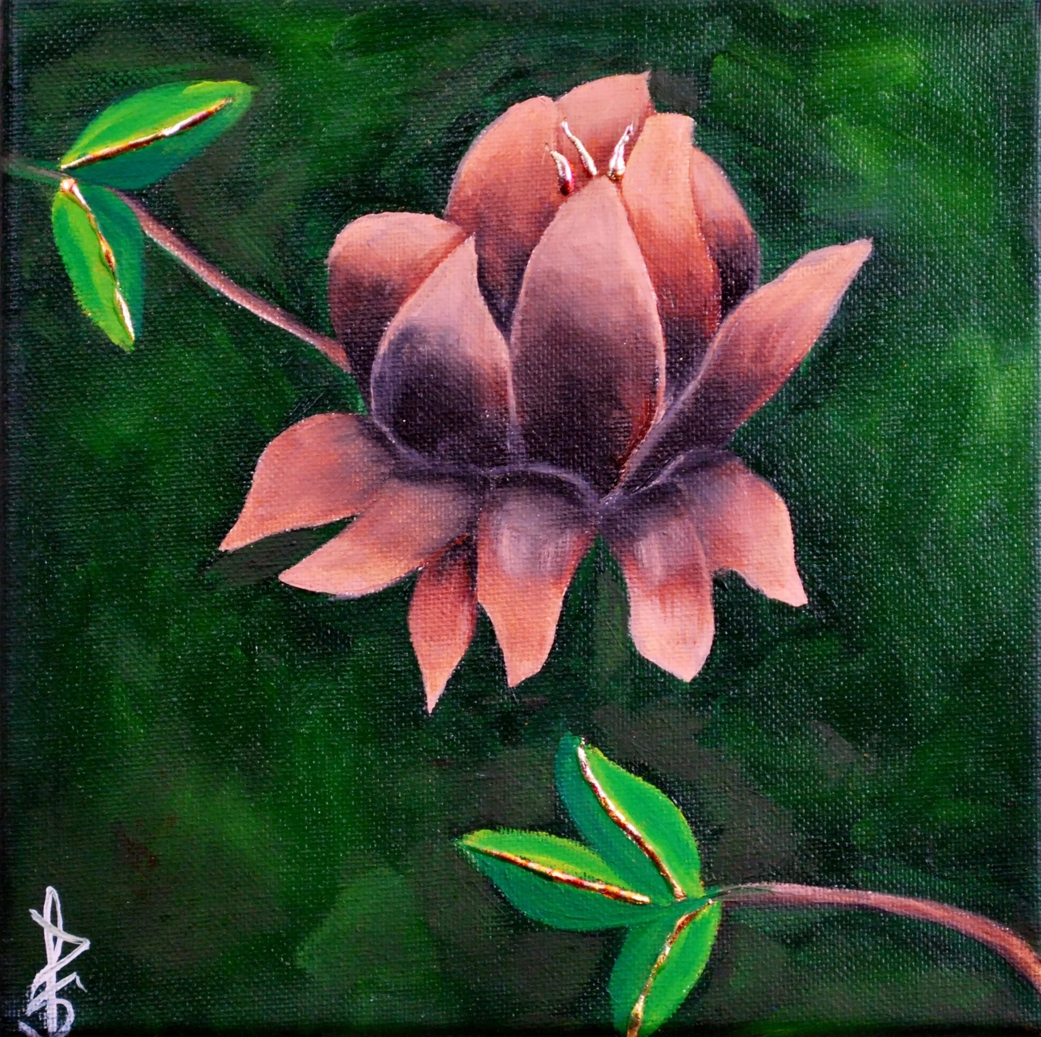 #36E. Pink Magnolia #3.JPG