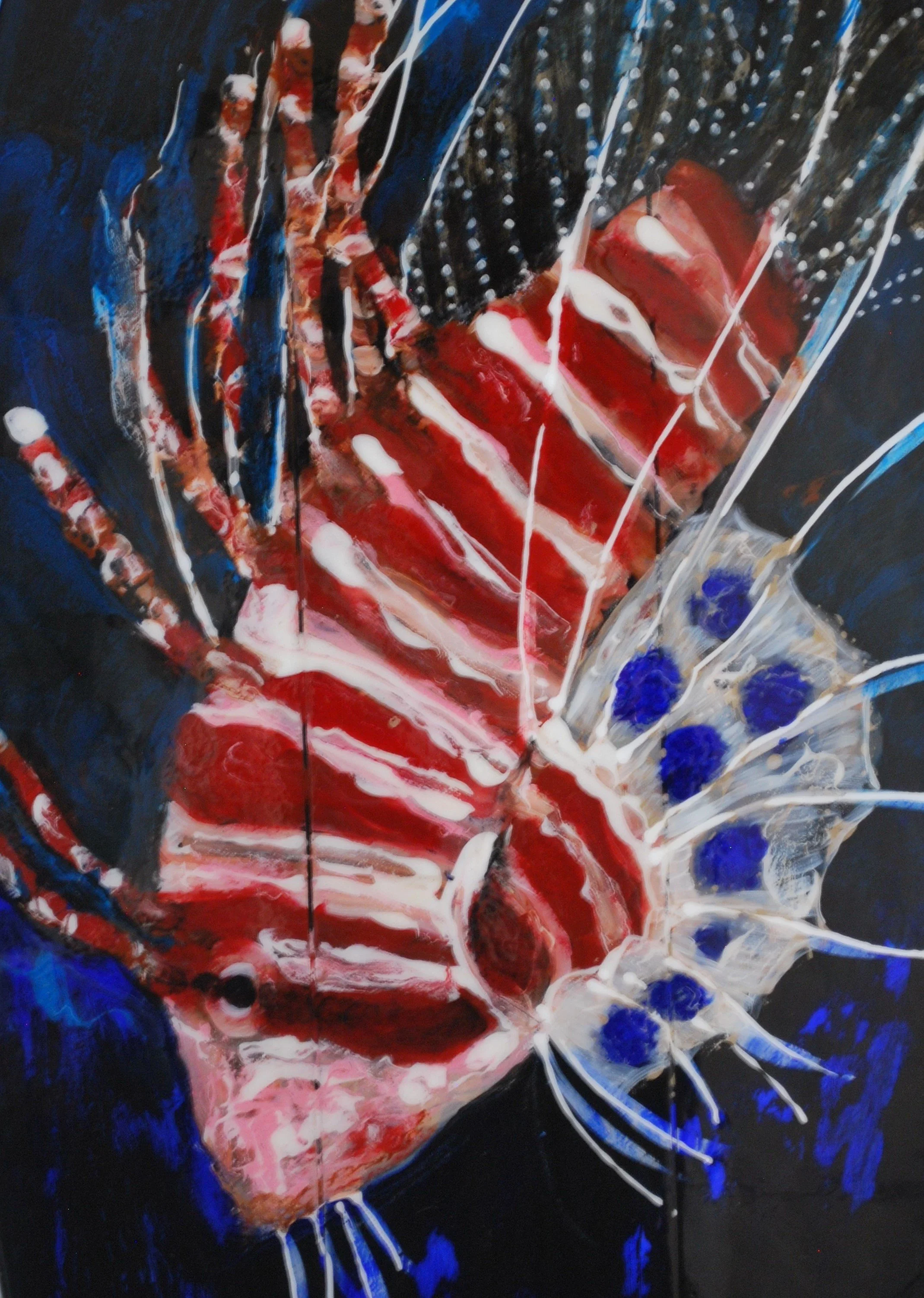 #24 Lion fish #2.JPG