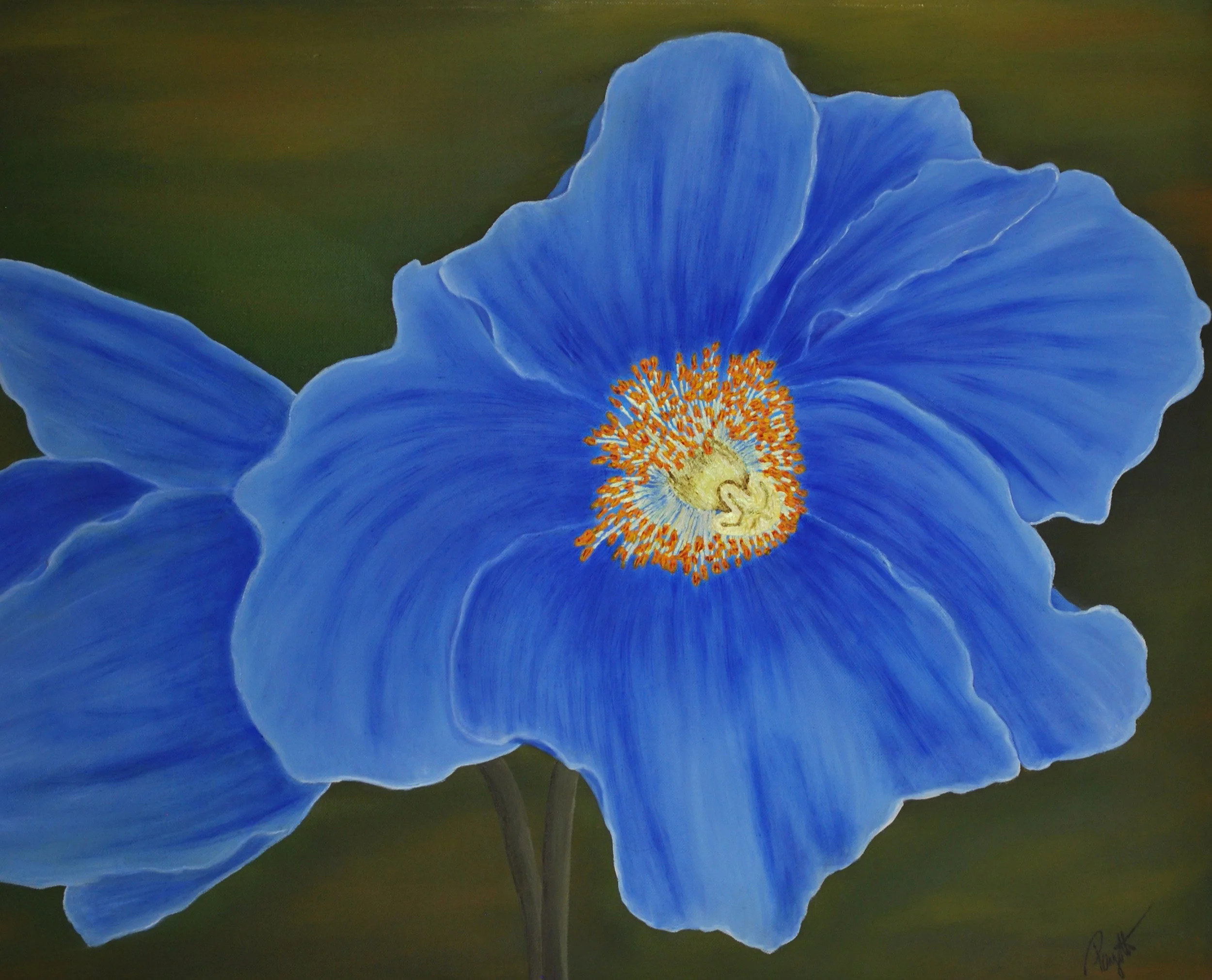 #20 blue poppies.JPG