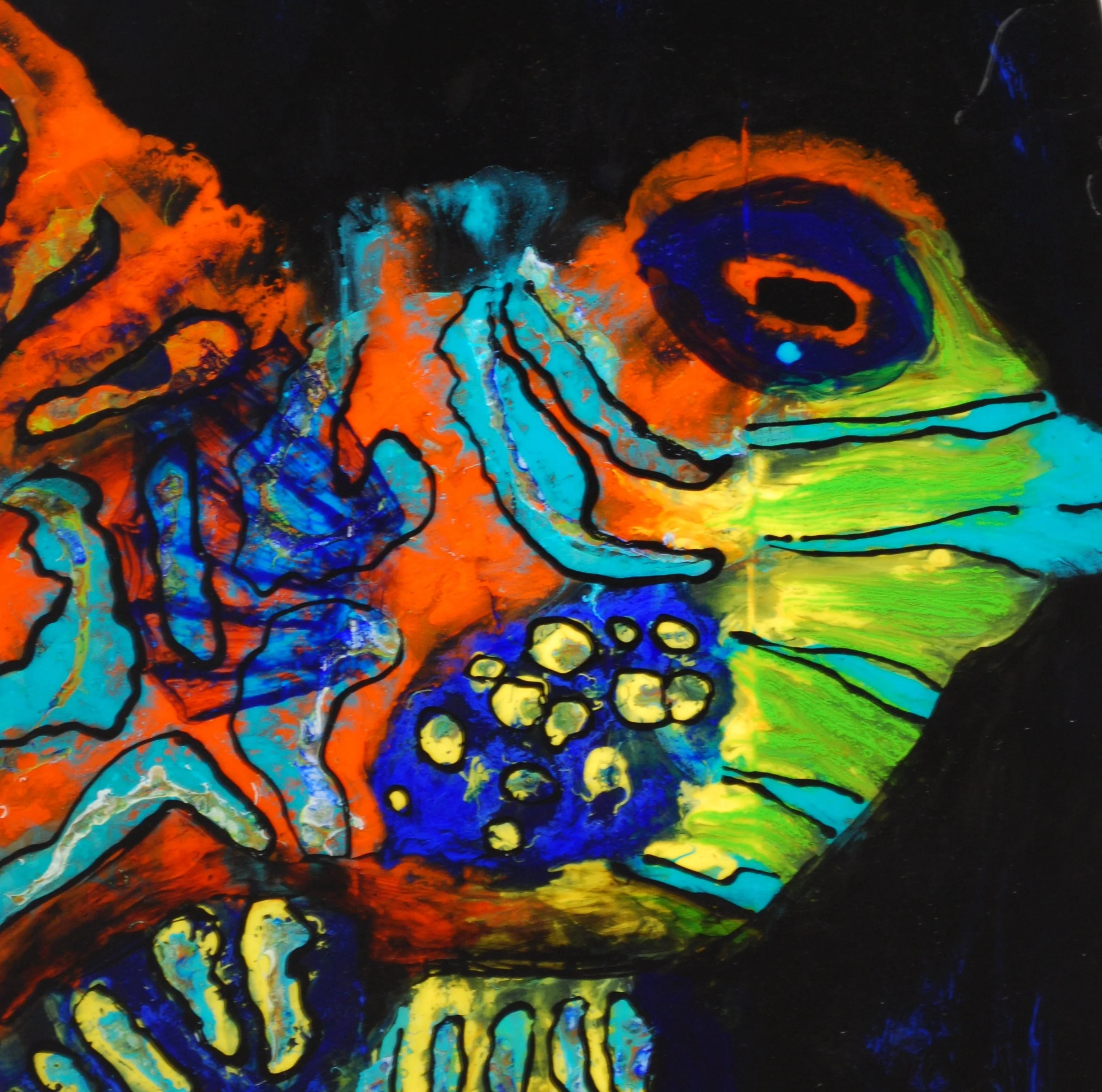 #20 goby from board.JPG