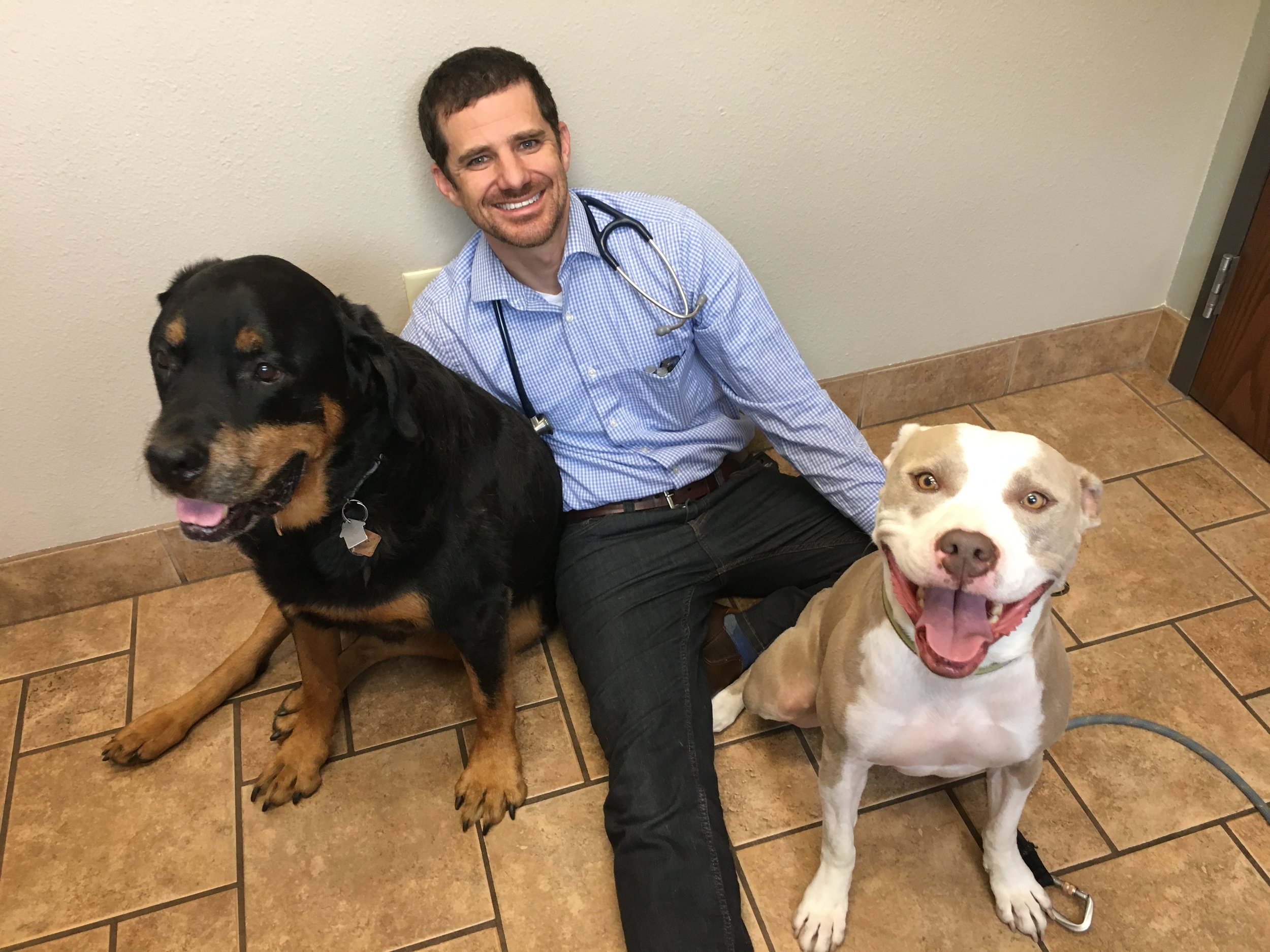 Dr. Arnold with some of our doggy friends, Mister Ruckus and Bindi Peru