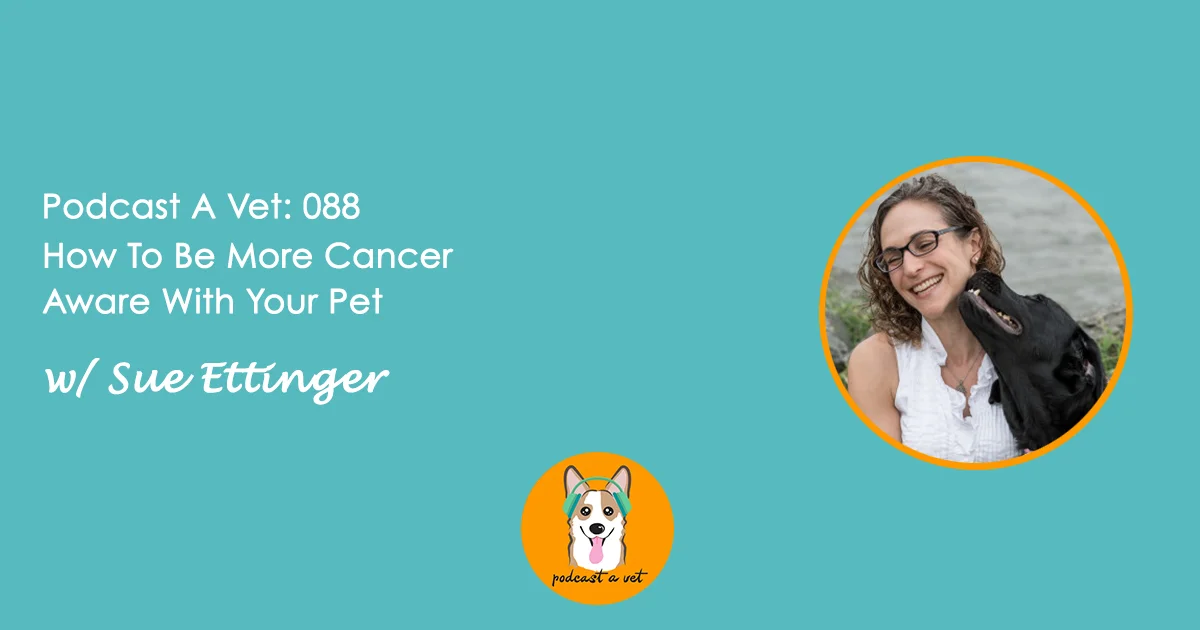 Podcast A Vet 88 Sue Ettinger.jpg