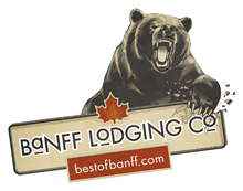 logo_bear_v2.png