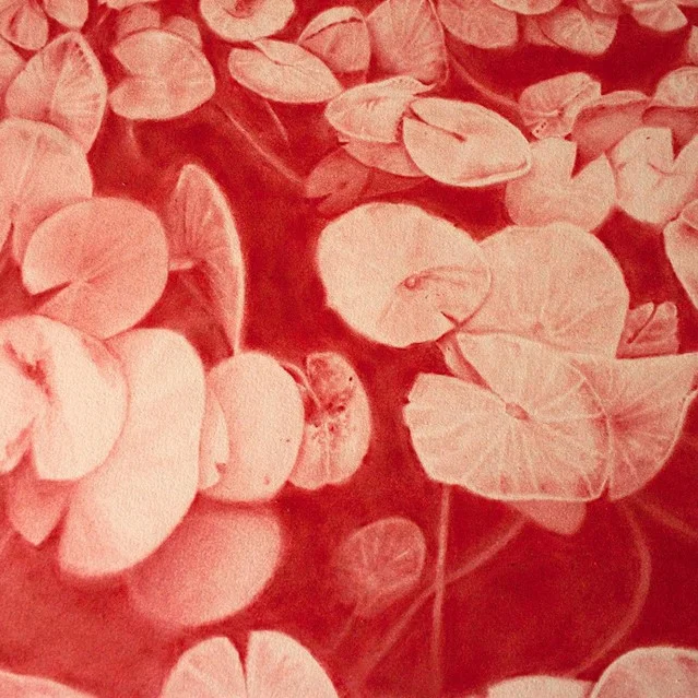 Close-up_Andréanne_YLS.jpg