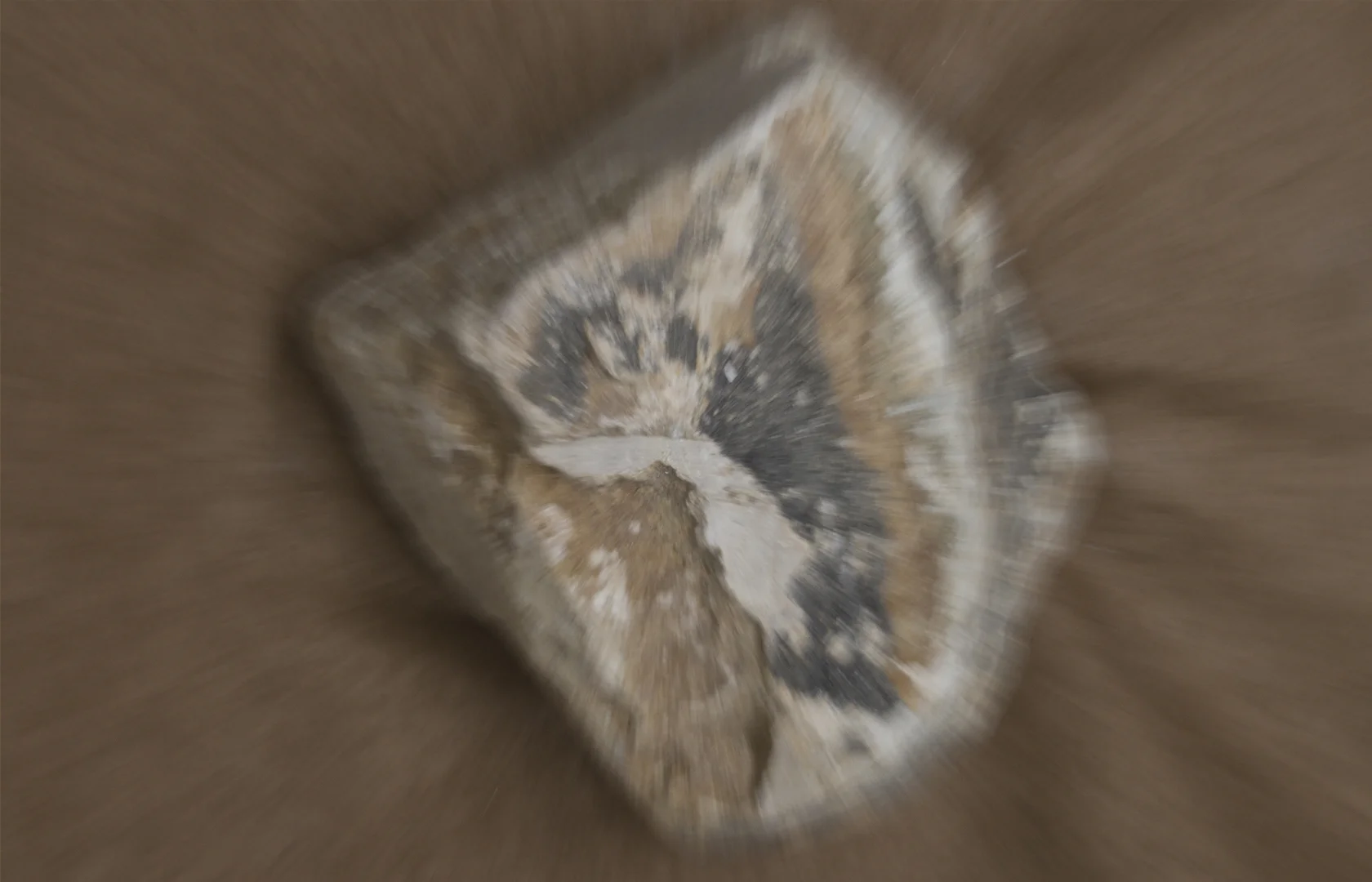 IMAGE-PROMO_1.jpg