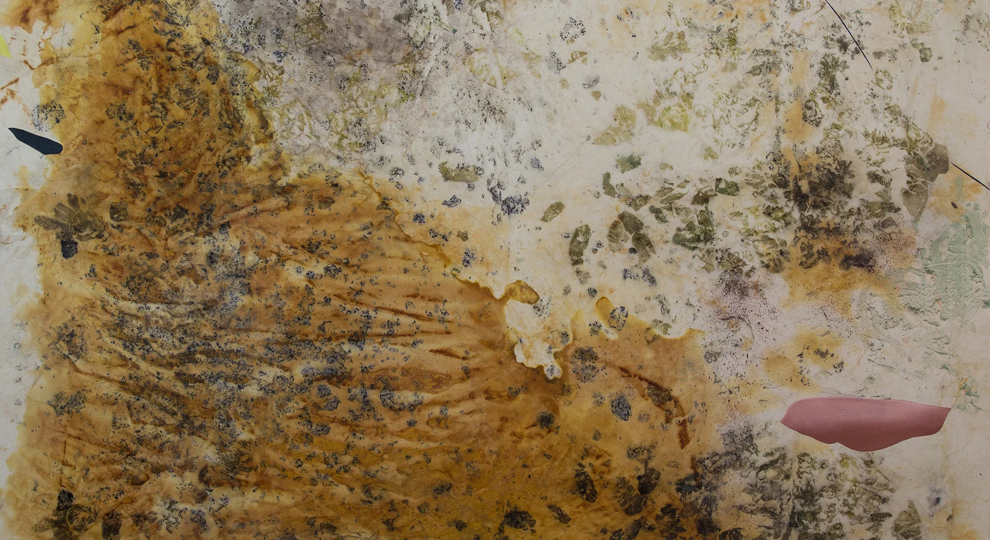 Promo 16x9_Gillian King_Sinister Dunes_Cold Wax Medium, Oil, Raw Pigments, Rust Sediments, and Various Plant Materials on Canvas_6x5 ft_2019 copy.jpg