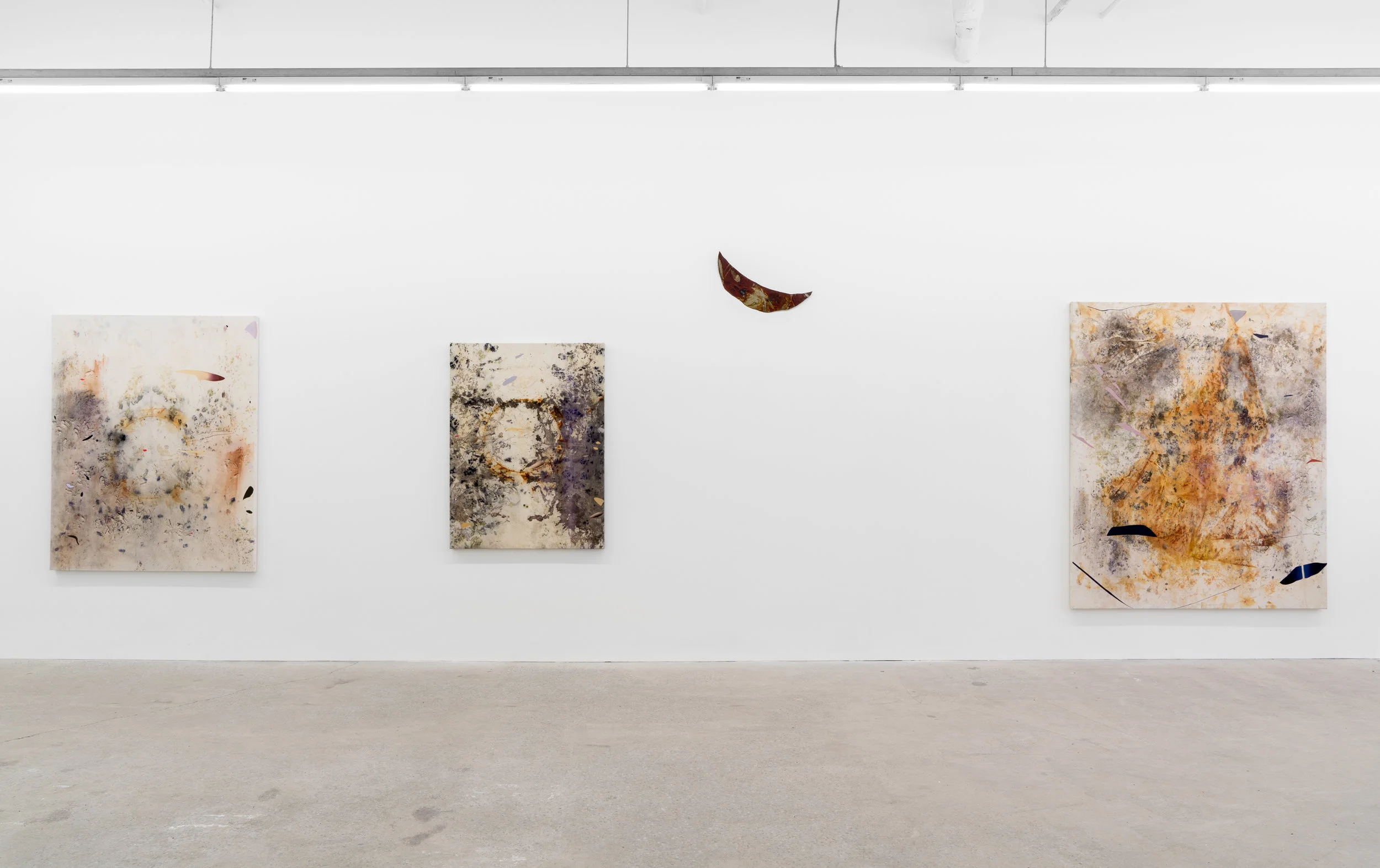 Gillian King, Sediment , 2019, exhibition view, Galerie Nicolas Robert, photo : Jean-Michael Séminaro