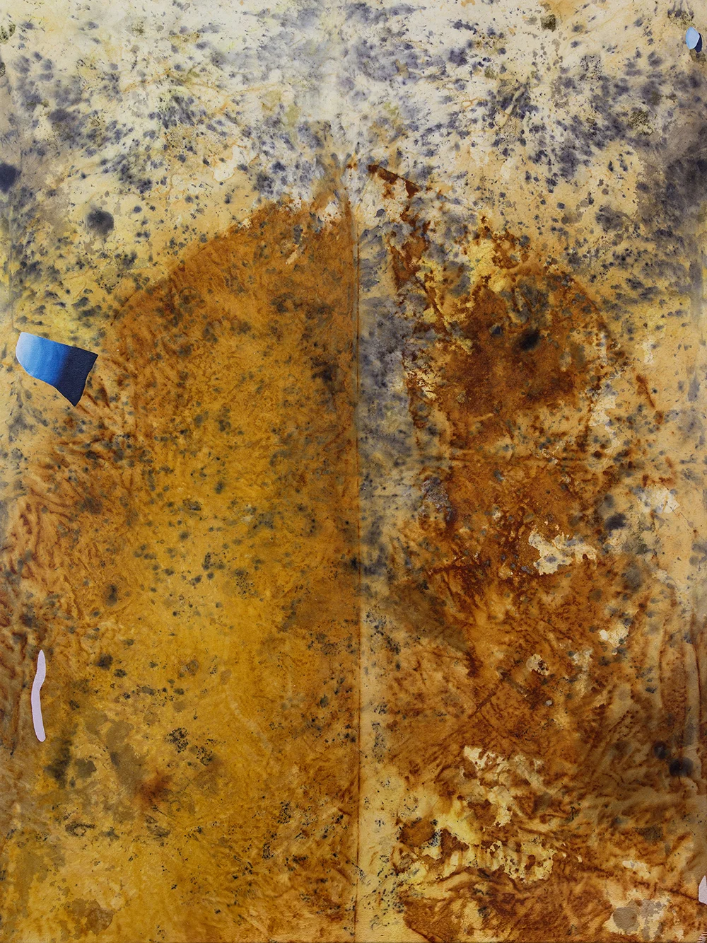 Gillian King, Grotto , 2019, Cold Wax Medium, Oil, Raw Pigments, Rust Sediments, Thread, and Various Plant Materials (including Onion Skins, Roses, Sumac, and Wildflowers) on Canvas, 48" x 36" (122 x 91 cm)