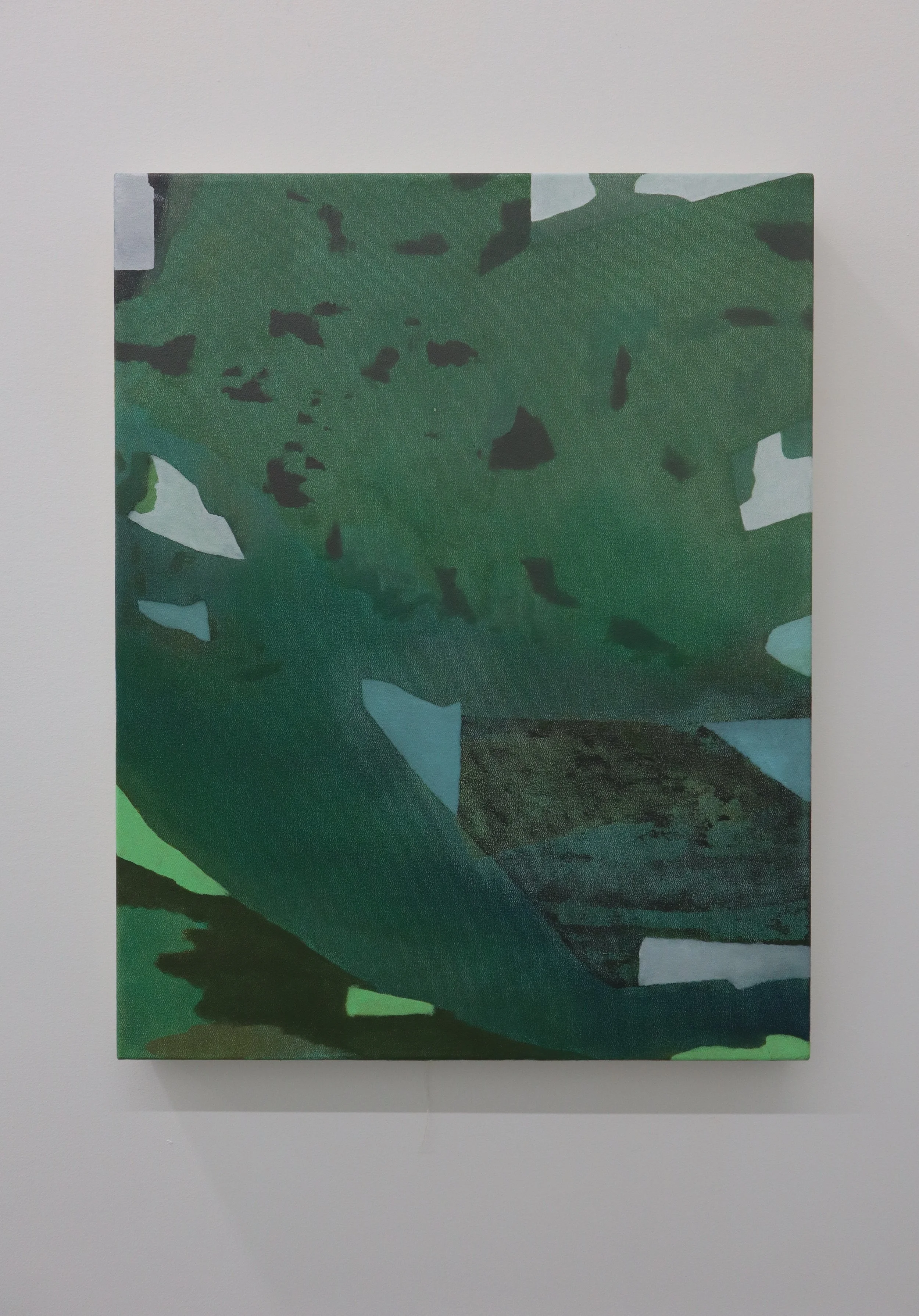  Frédéric Tiffet,  Parcellaire , 2025, Oil on canvas, 71.1 x 55.9 cm (28 x 22 ") 