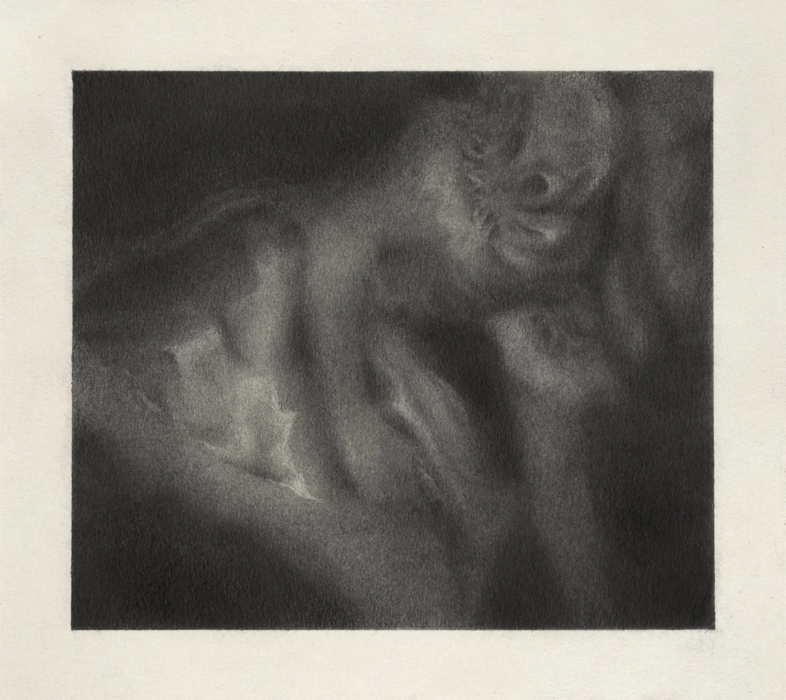  Arta Ajeti,  Shift  , 2025, Graphite on paper, 17 x 19 cm 
