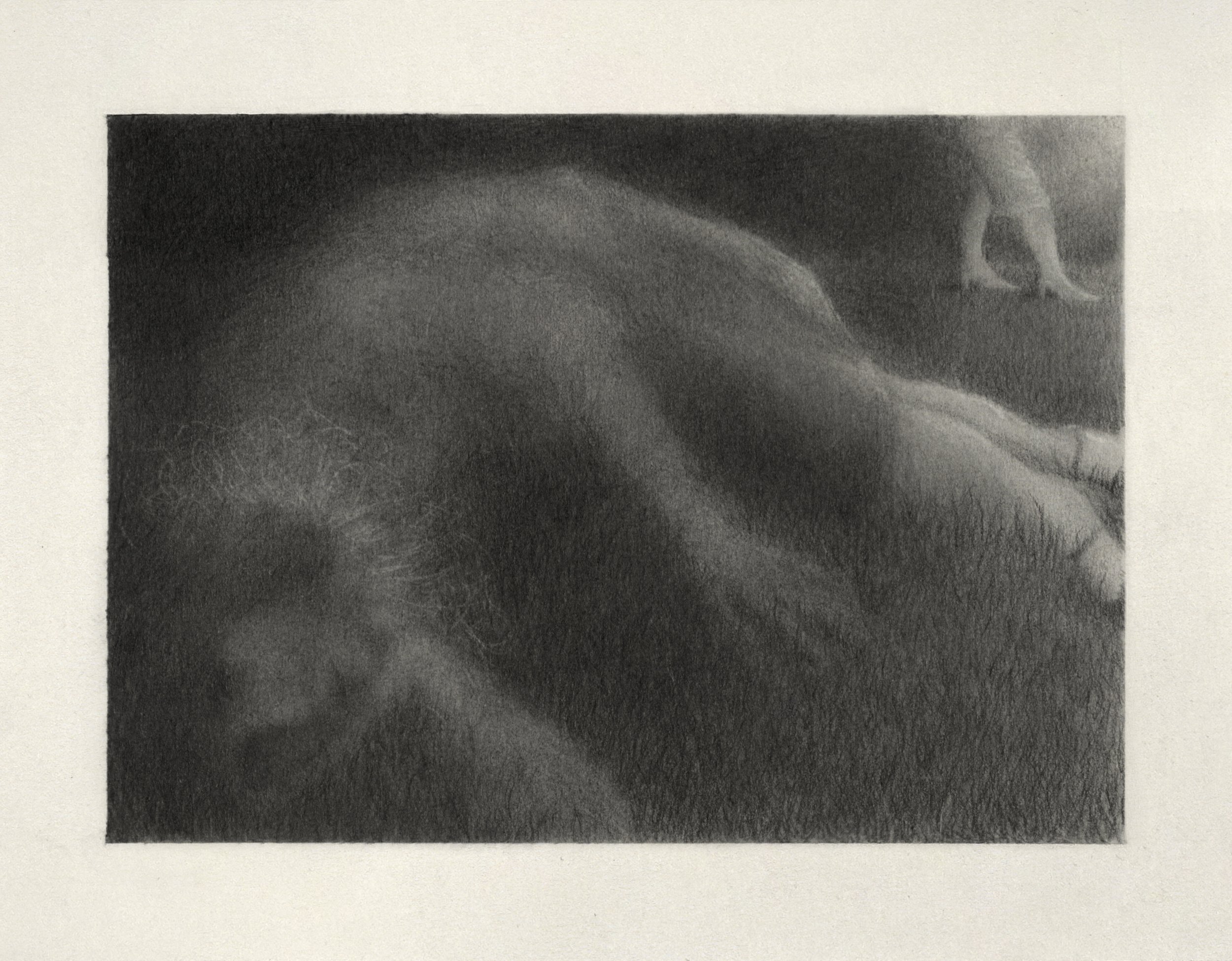  Arta Ajeti,  Textbook Vulnerability , 2025, Graphite on paper, 15 x 19 cm 
