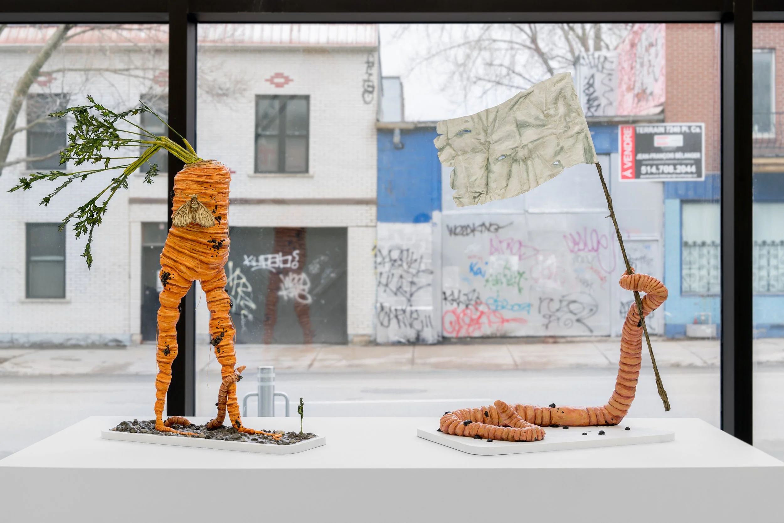 NicolasRobertAvril2026 (7 of 37).jpg