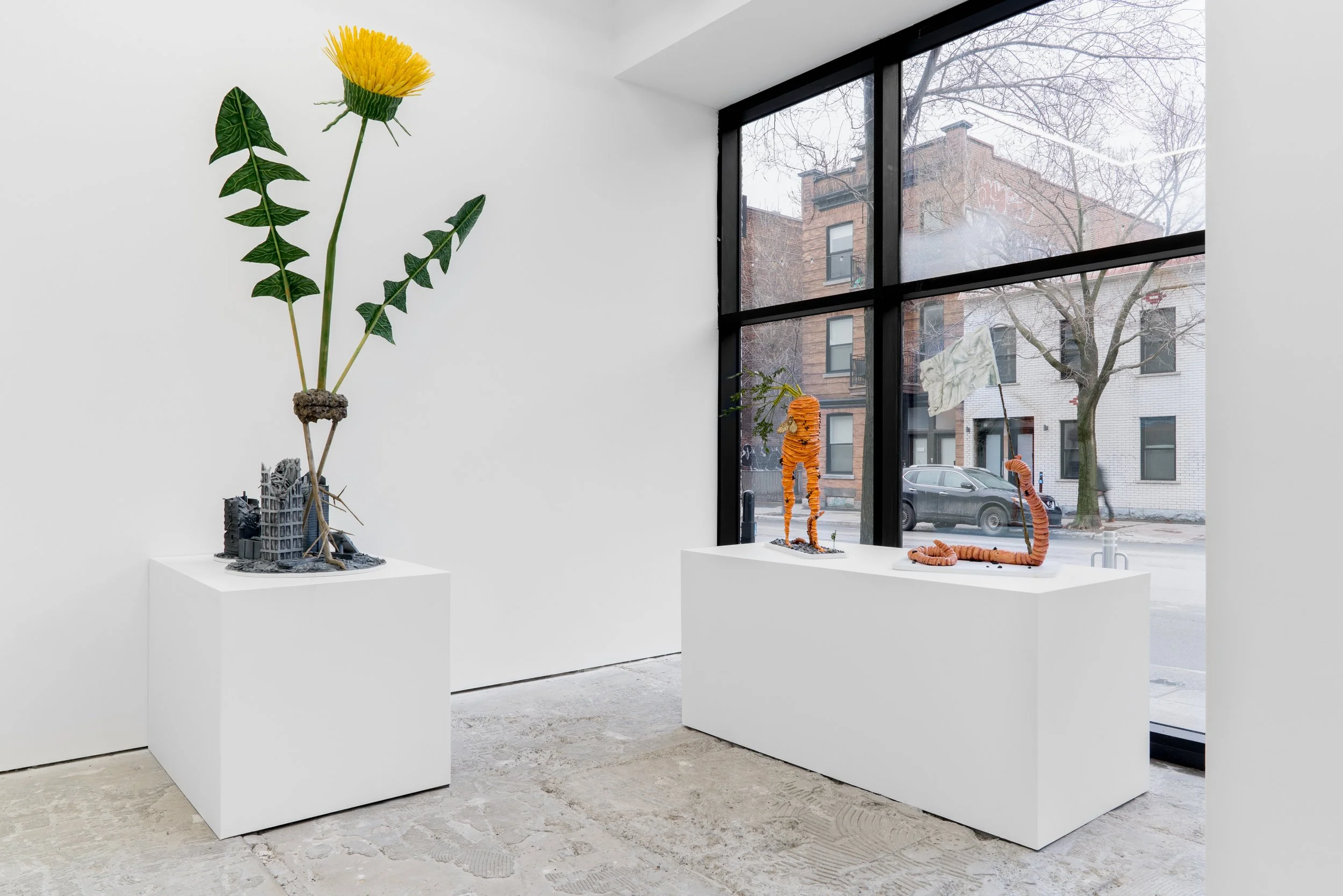 NicolasRobertAvril2026 (1 of 37).jpg