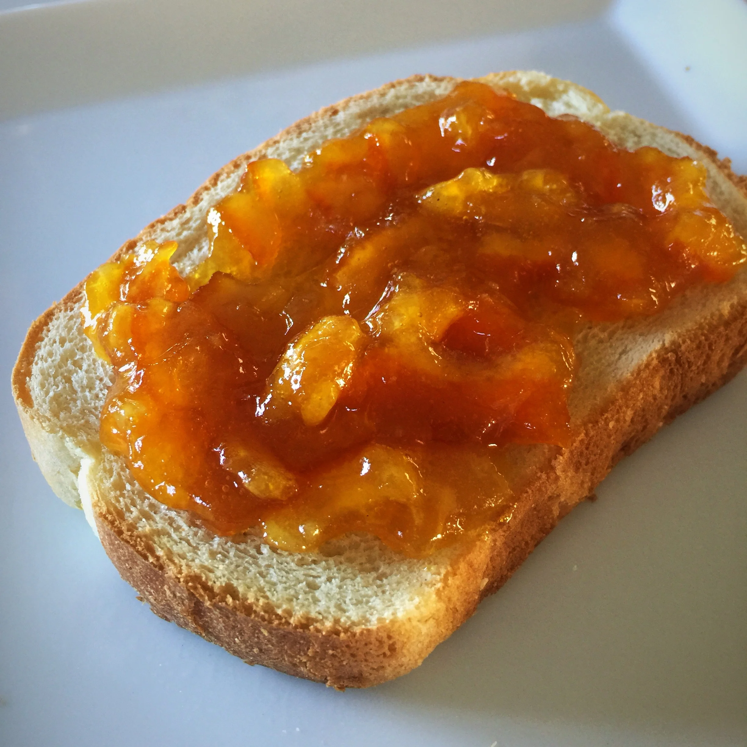 Homemade Orange Marmalade