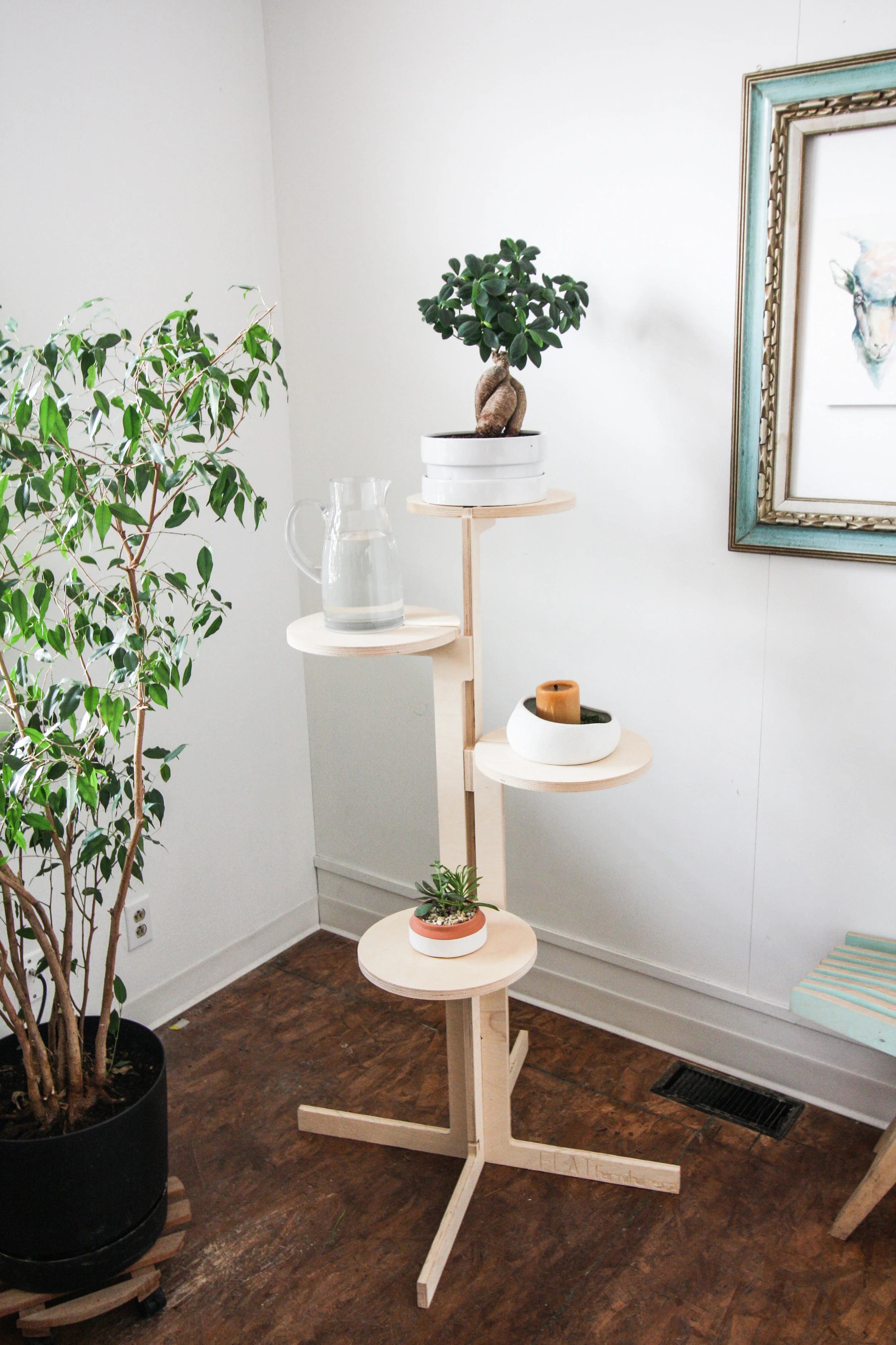 plant perch.jpg