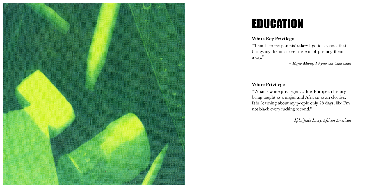 whiteprivilege3.png