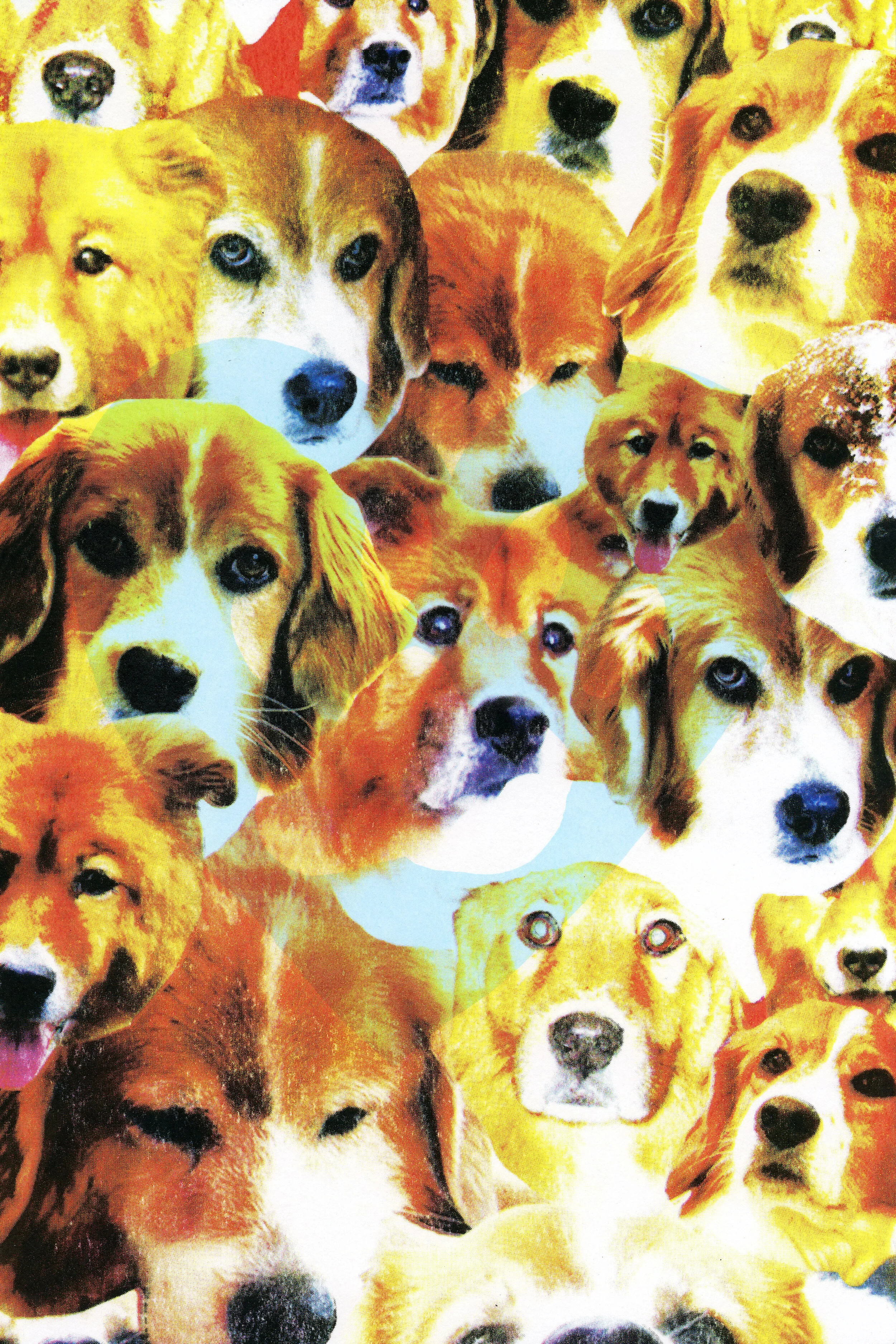 doggies.jpg