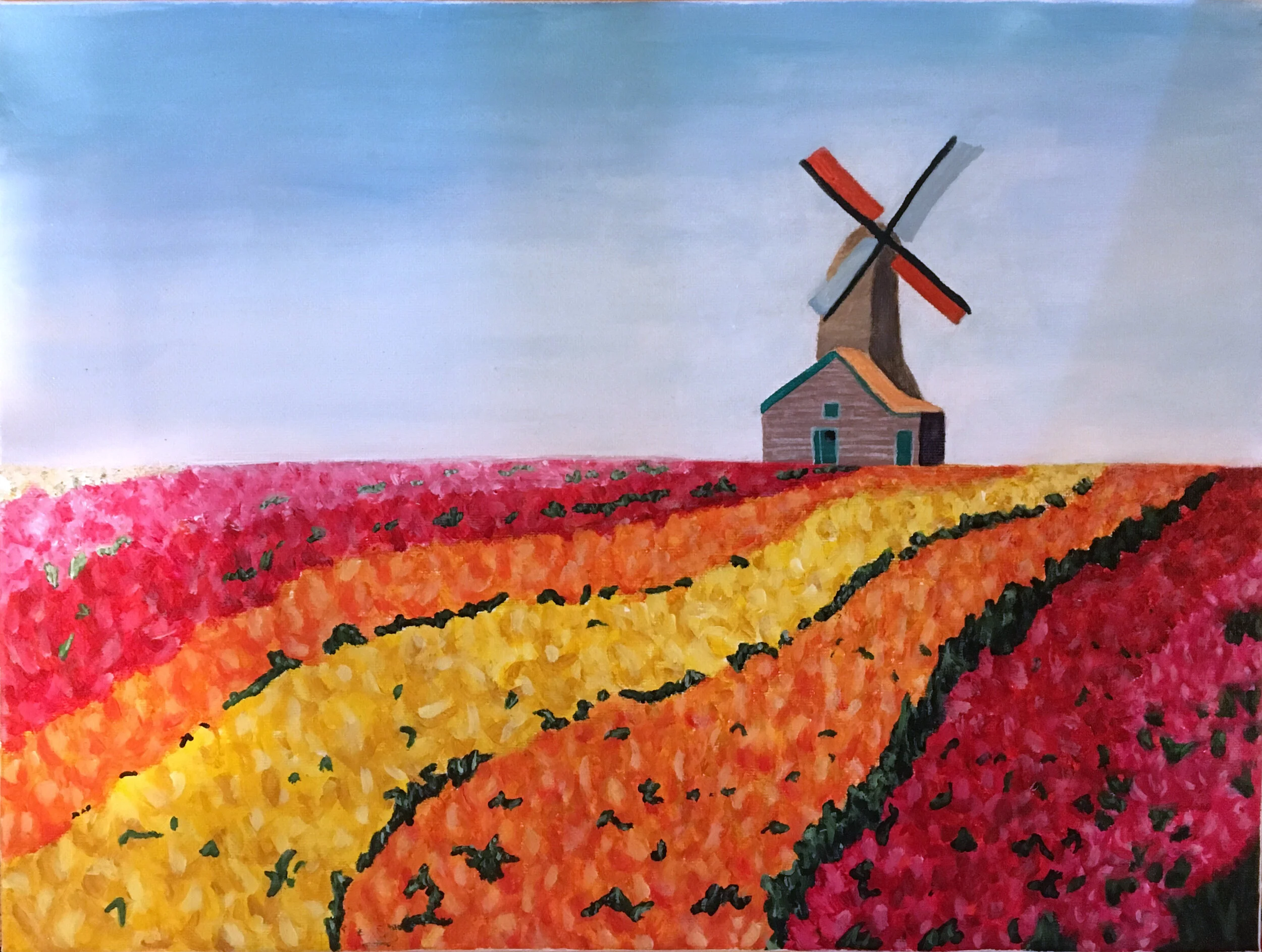 14” x 11” Dutch Tulip Fields