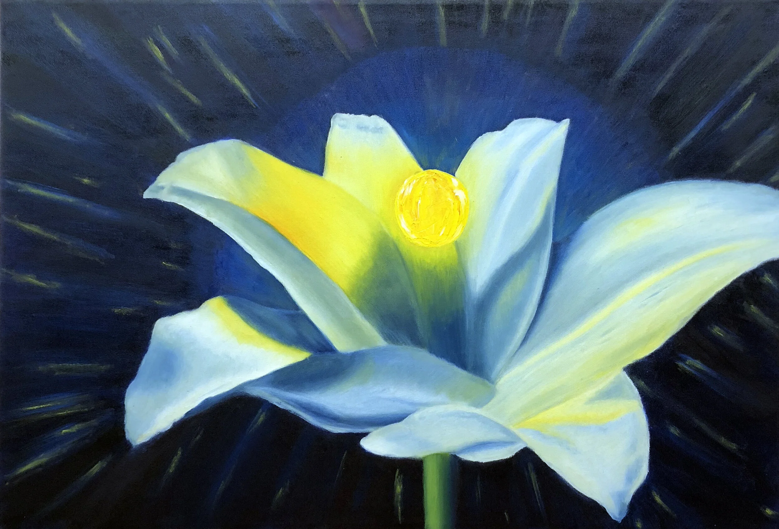 36” x 24” Flower