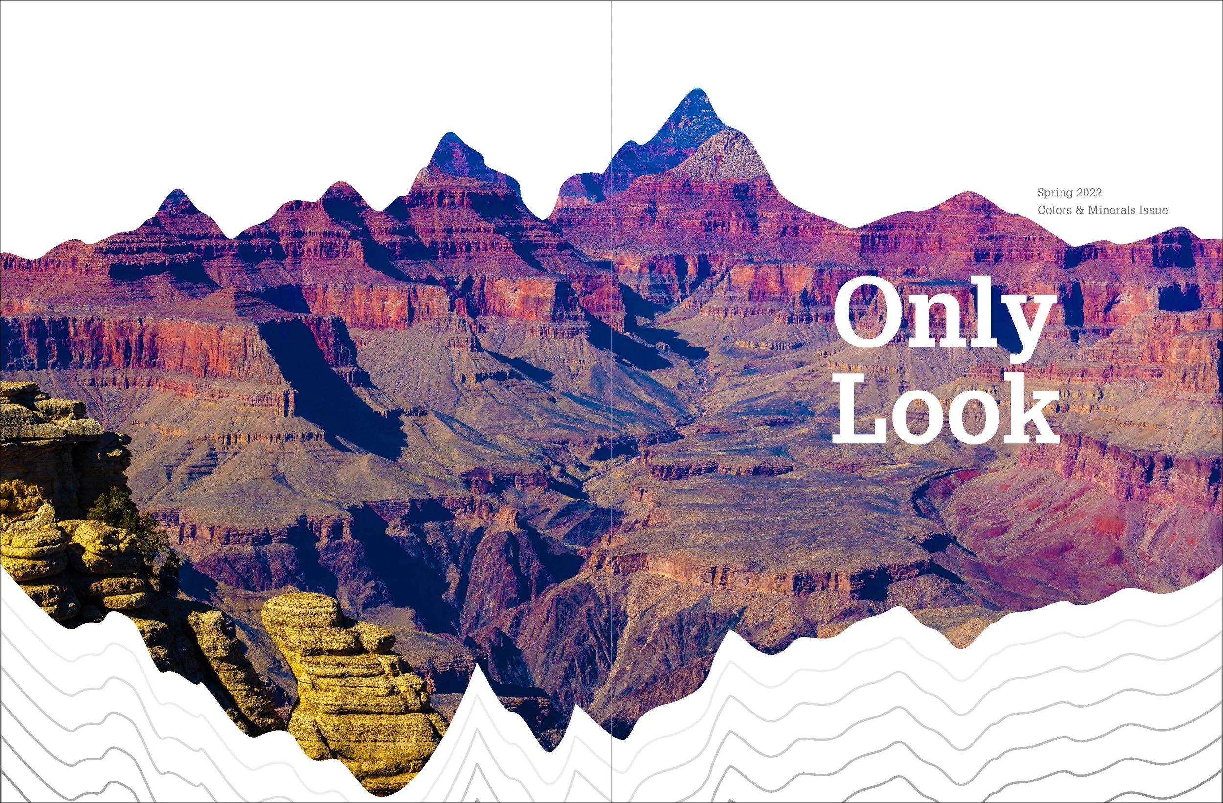 Only Look Magazine