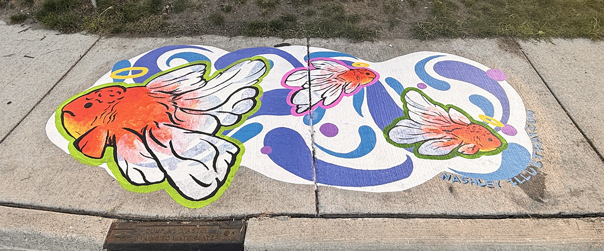 Make your Goldfish Proud - Sidewalk Drain Mural