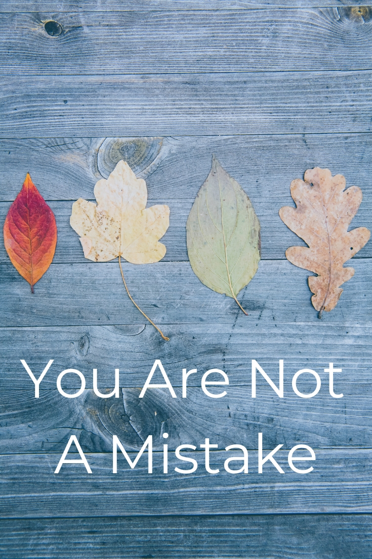You Are Not A Mistake.jpg