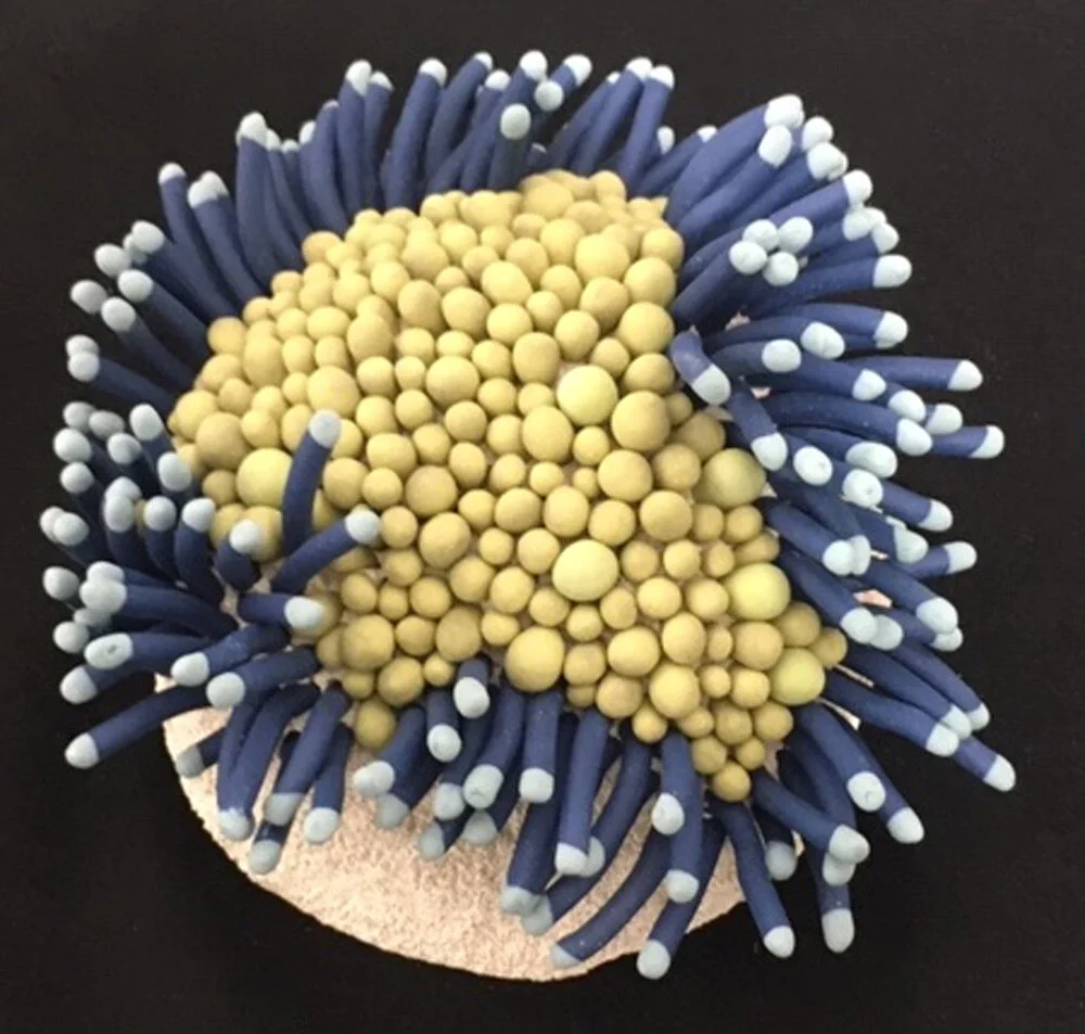 Open Studio Redux - Members #2