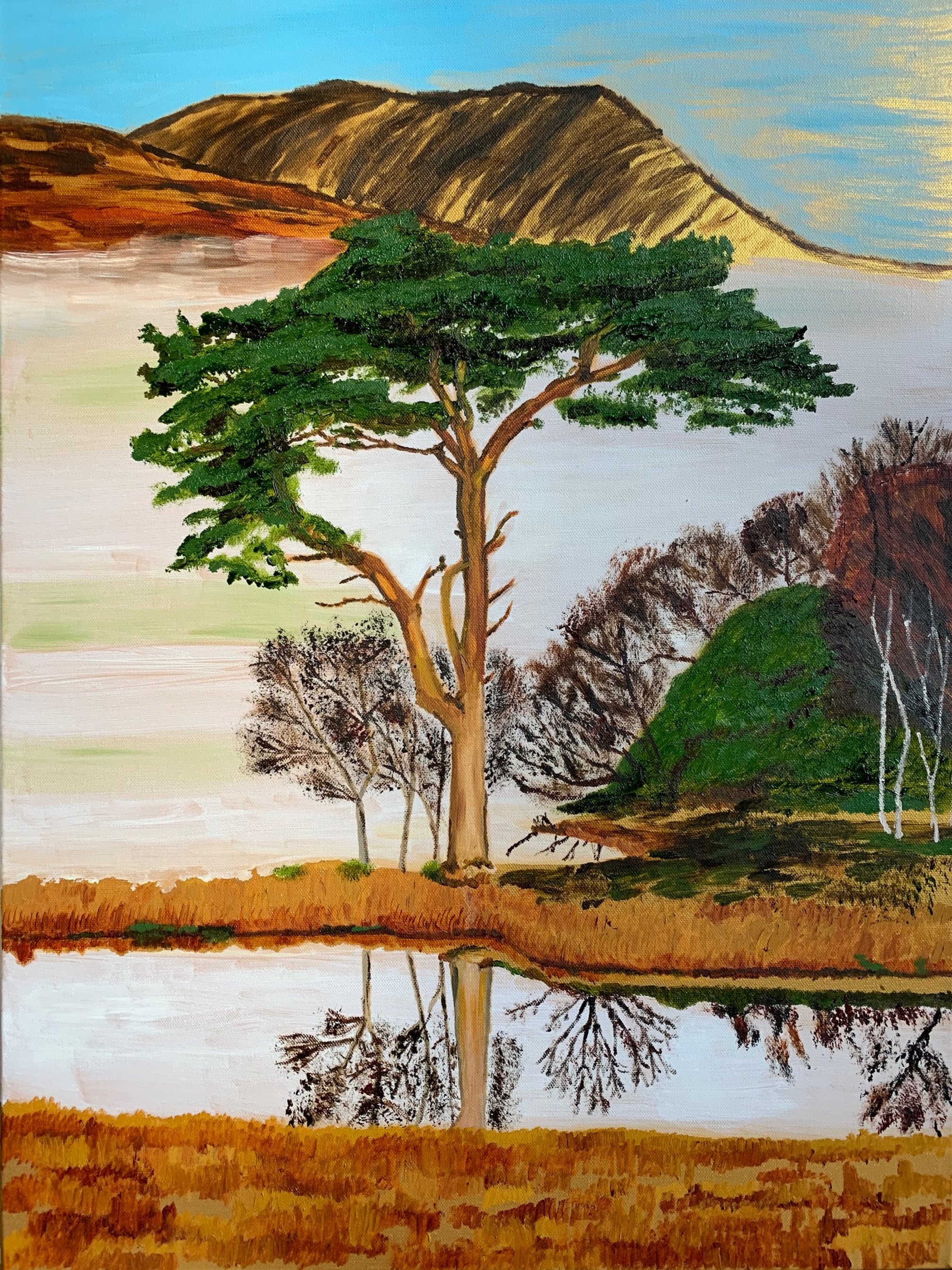 Stephanie Amend