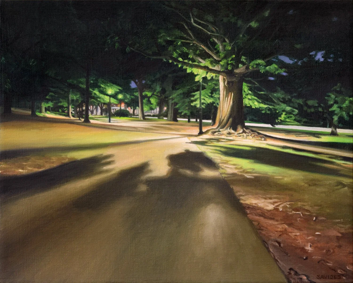 night-shadows-1500-1-Savides.jpg