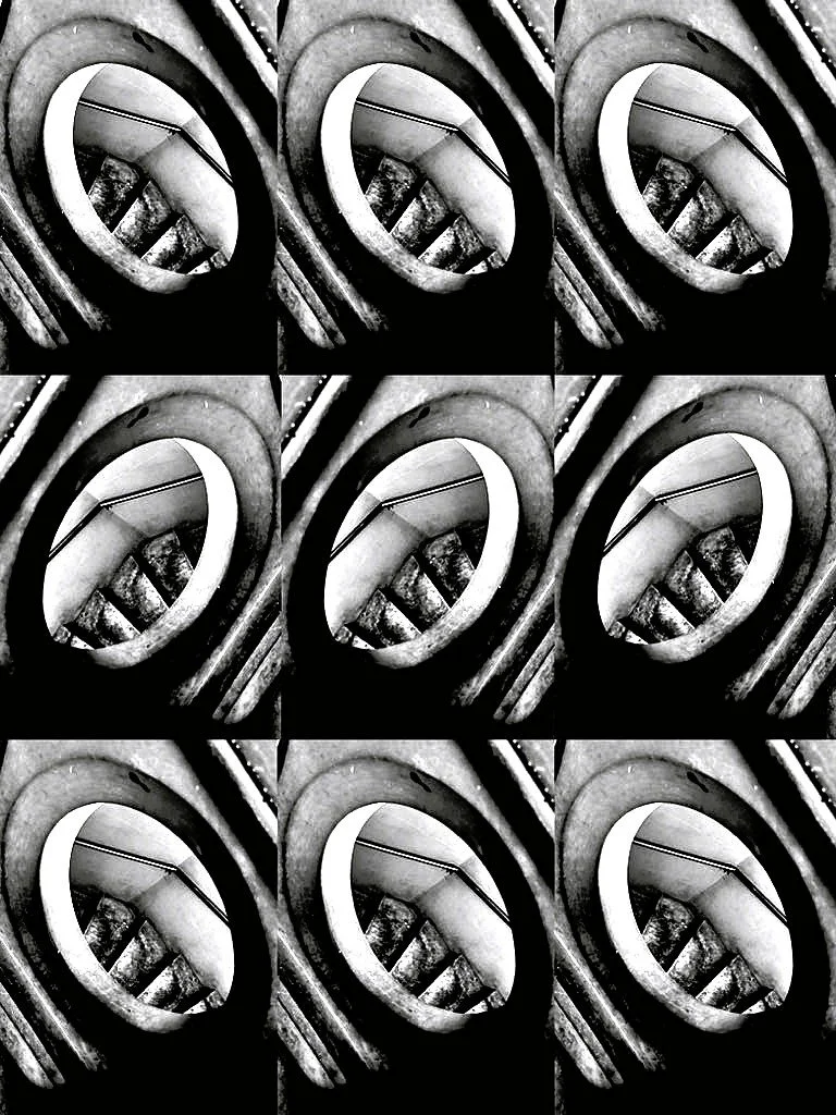 p_corso_ENDLESS JOURNEY.jpeg