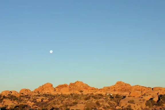 Levitt_Shia_MoonriseWEB.jpg