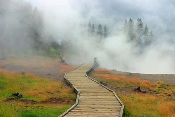 Levitt_Shia_YellowstonePathadjWEB.jpg