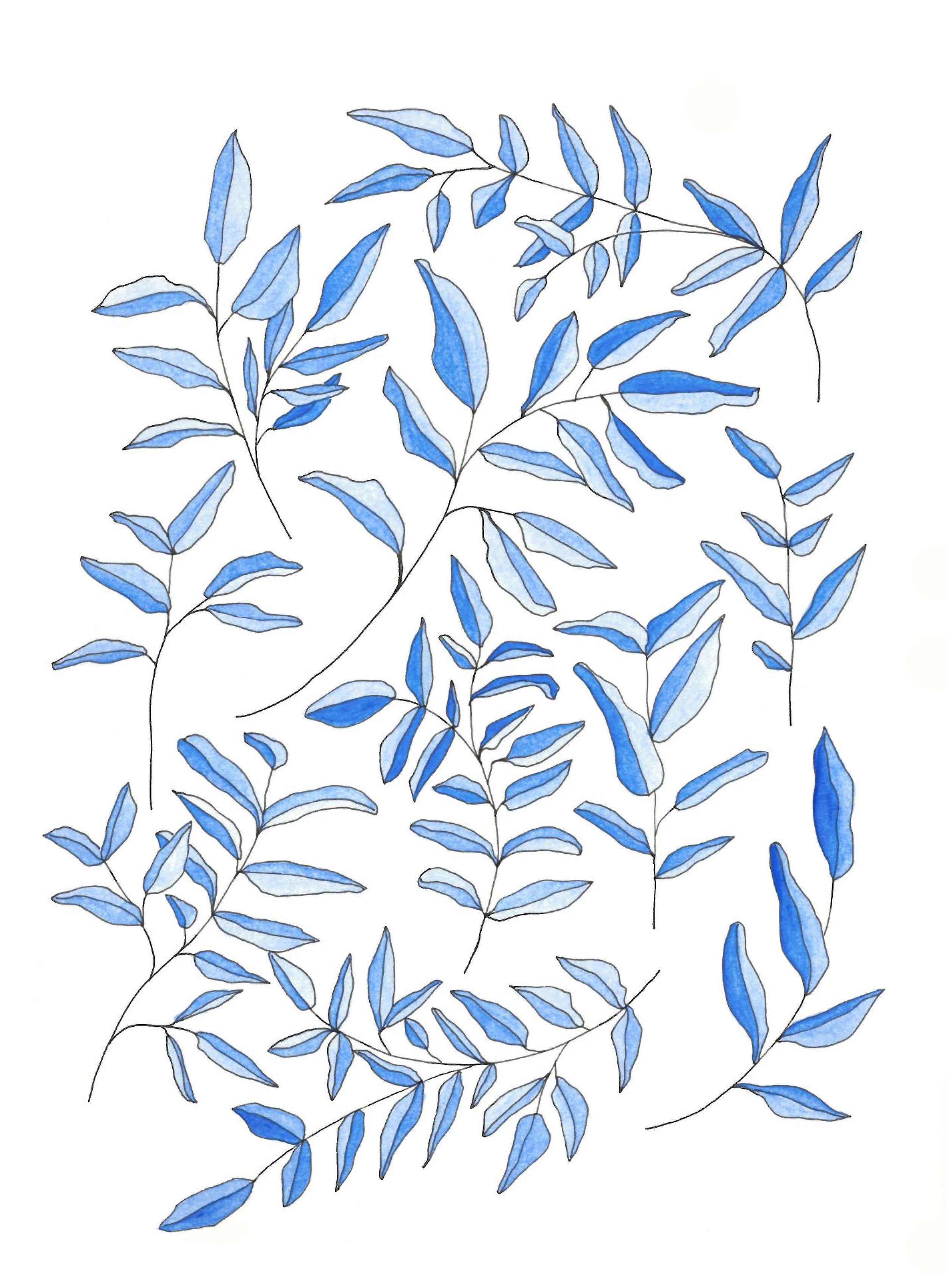 Joseph, Lauren_blue-cropped.jpg