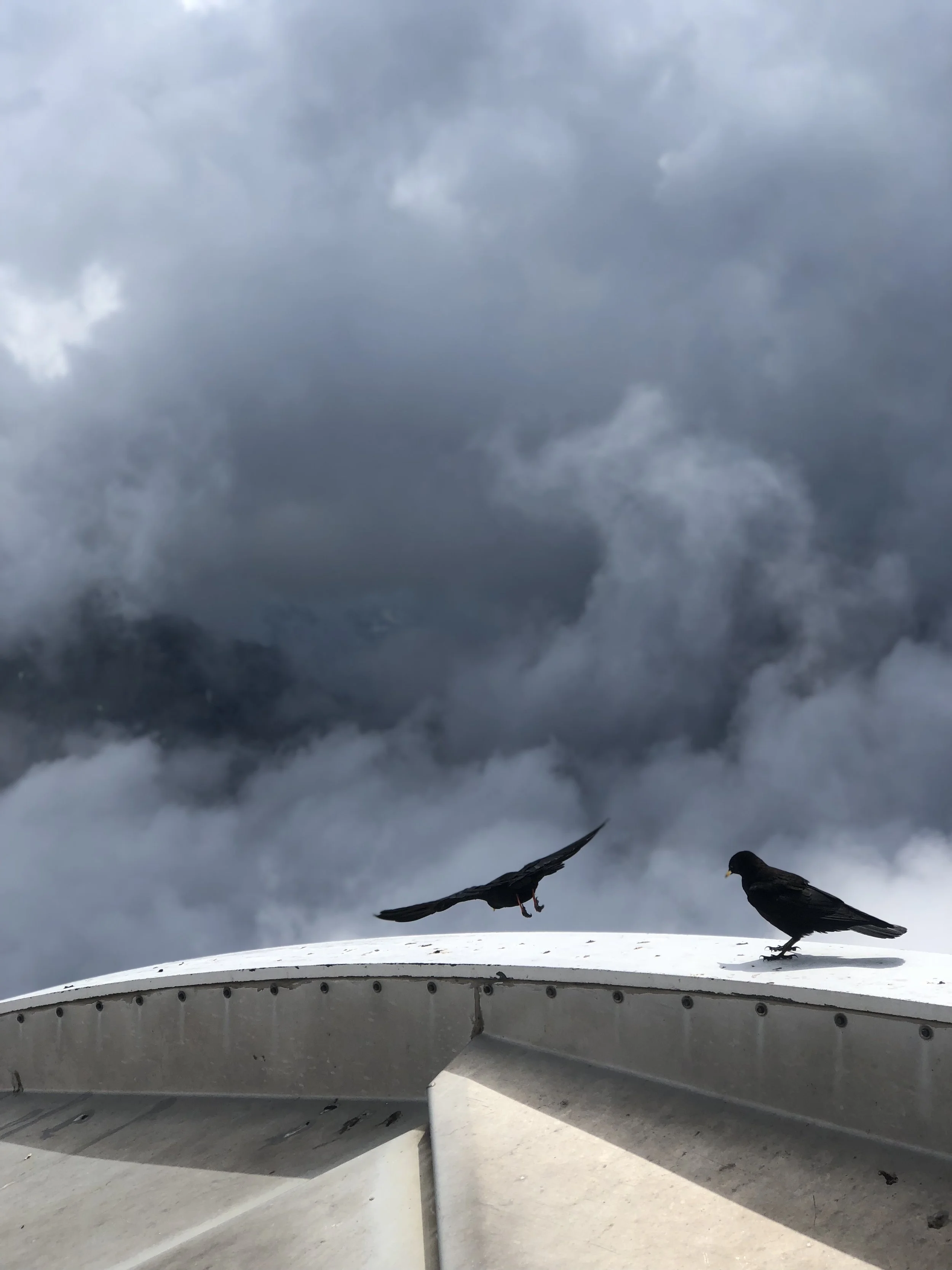 McGlaughlinI-MG_4154 2.jpeg