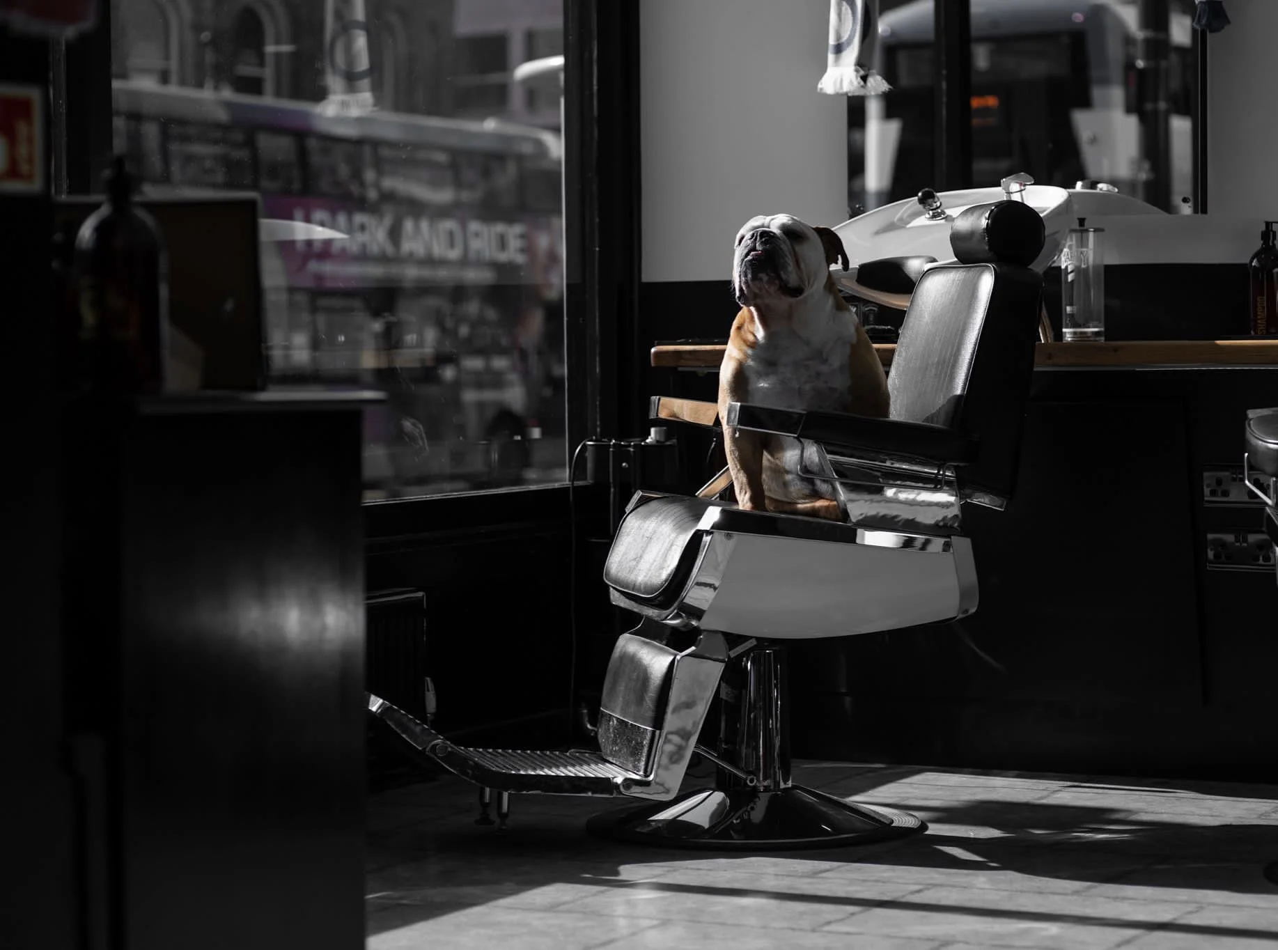 Boris&Co LEEDS 4.jpeg