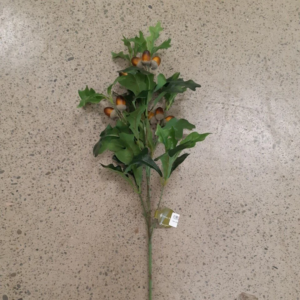 Oak Branch with Acorns