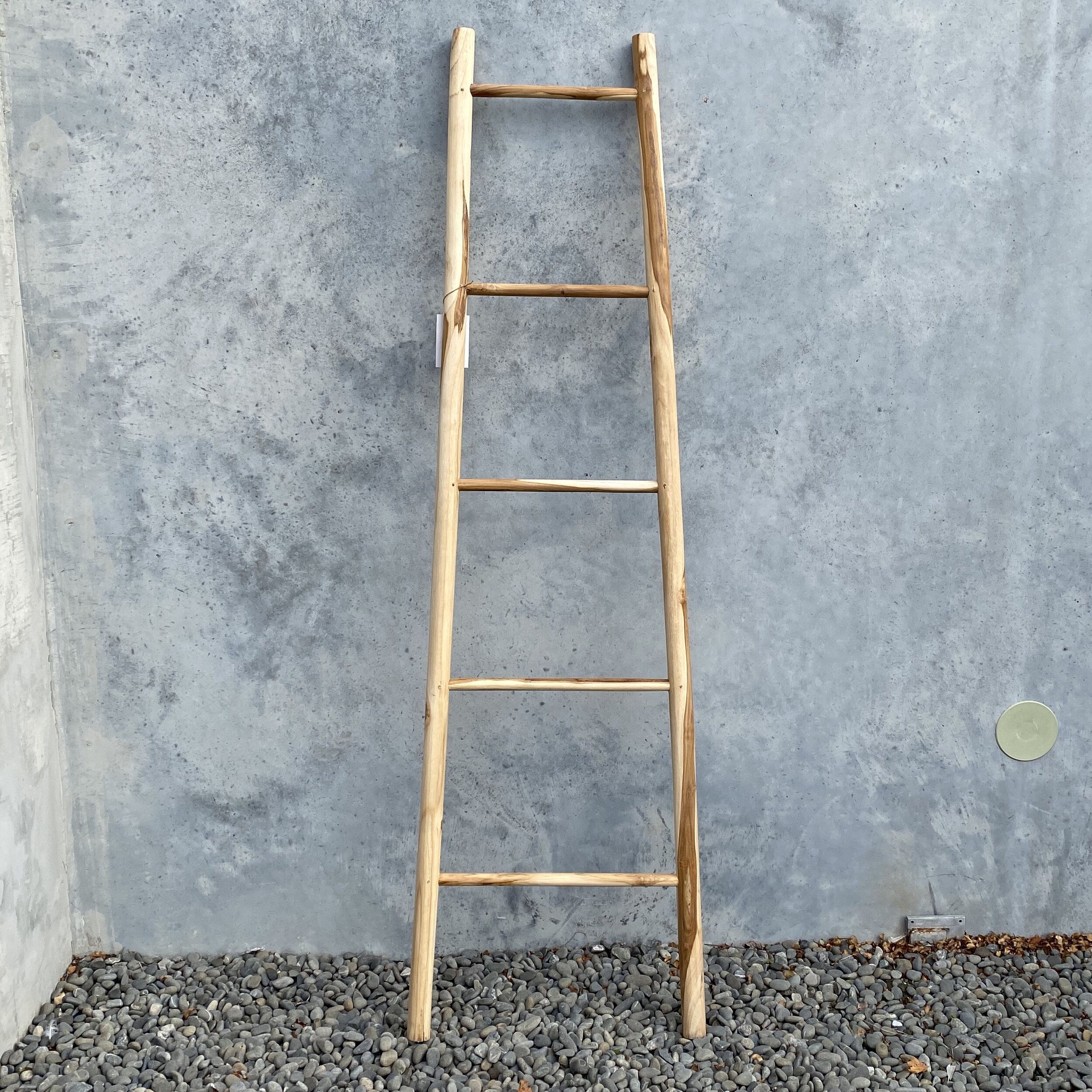 Teak Ladder