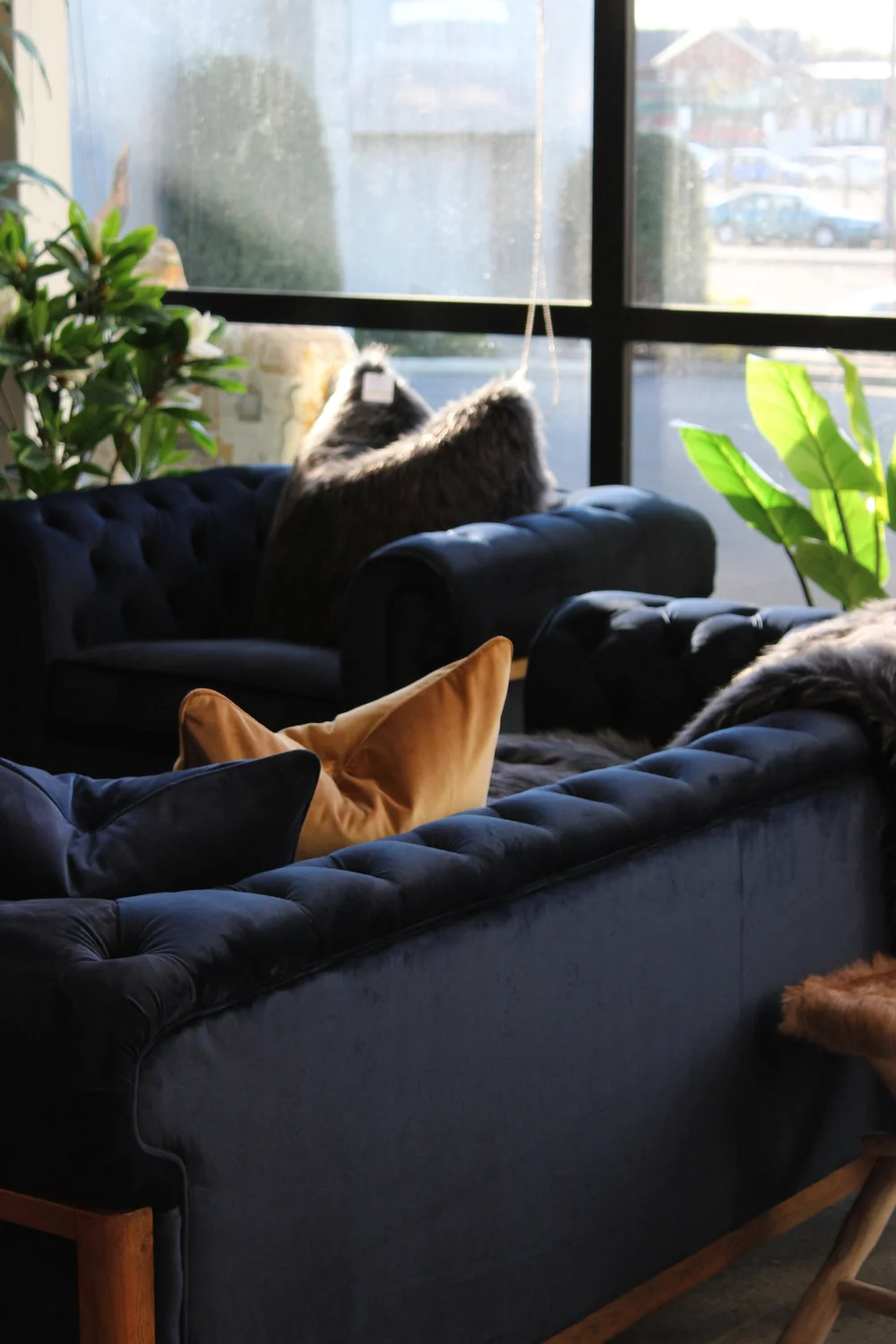 Velvet Chesterfield Sofa Nz Baci Living Room